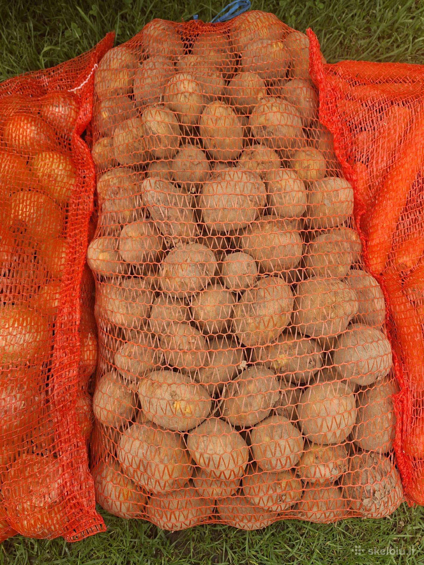 Šviežios daržovės