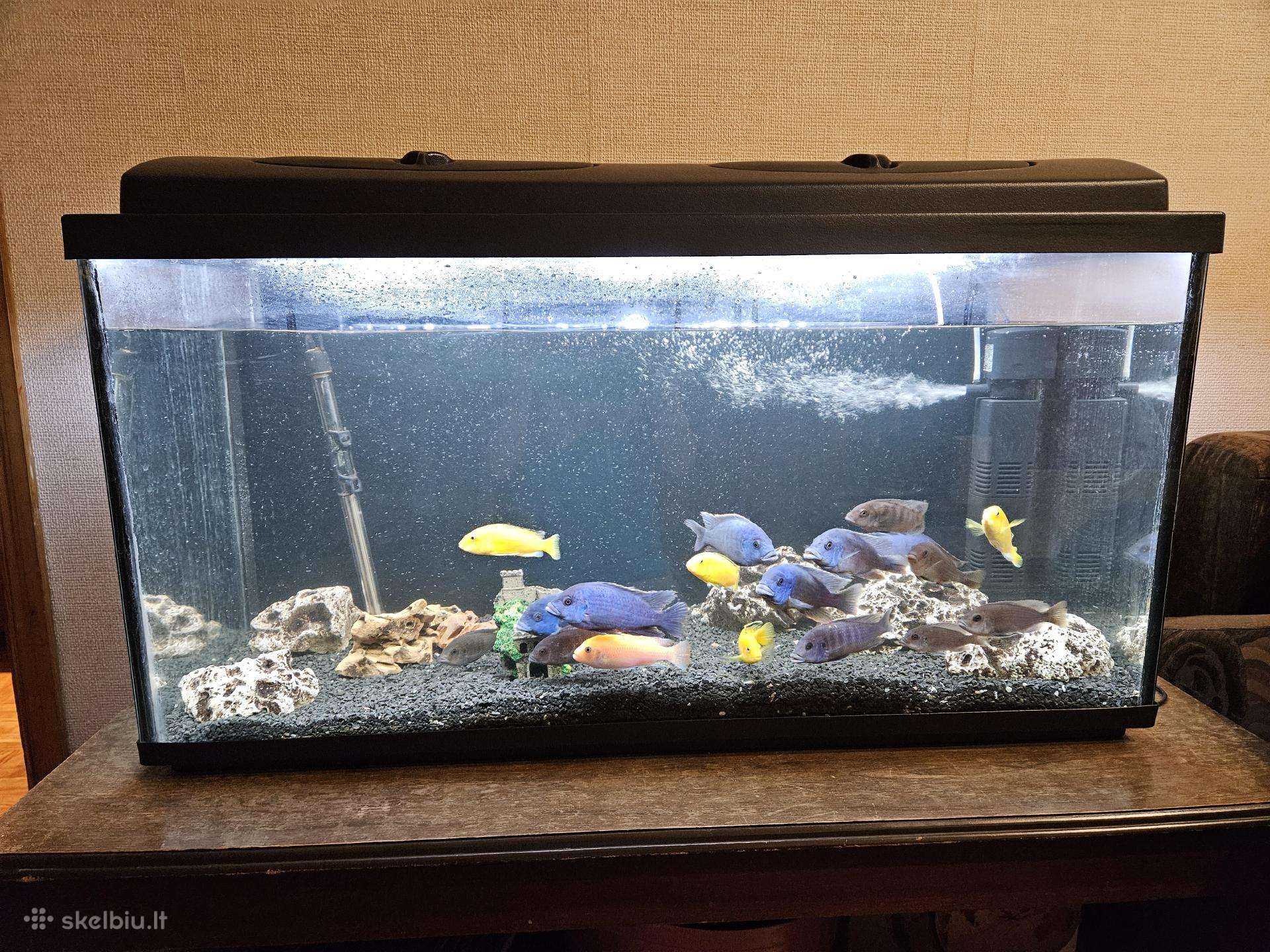 200l akvariumas