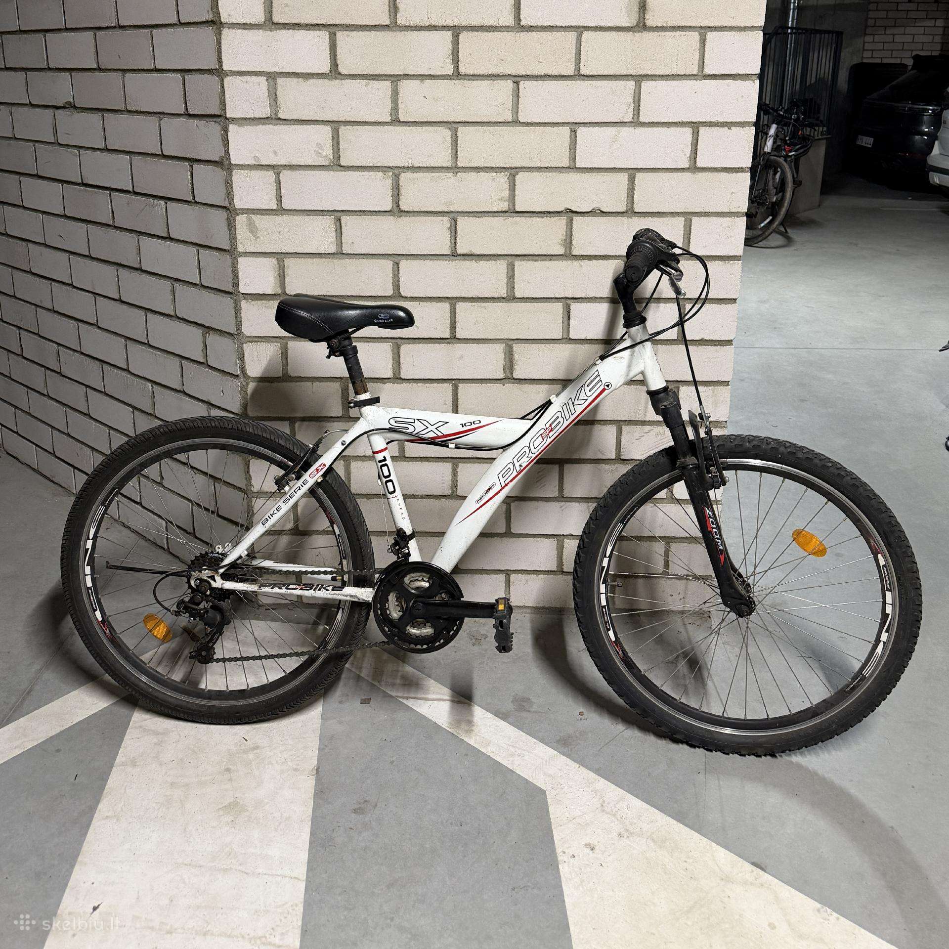 Kalnų dviratis Probike Sx 100