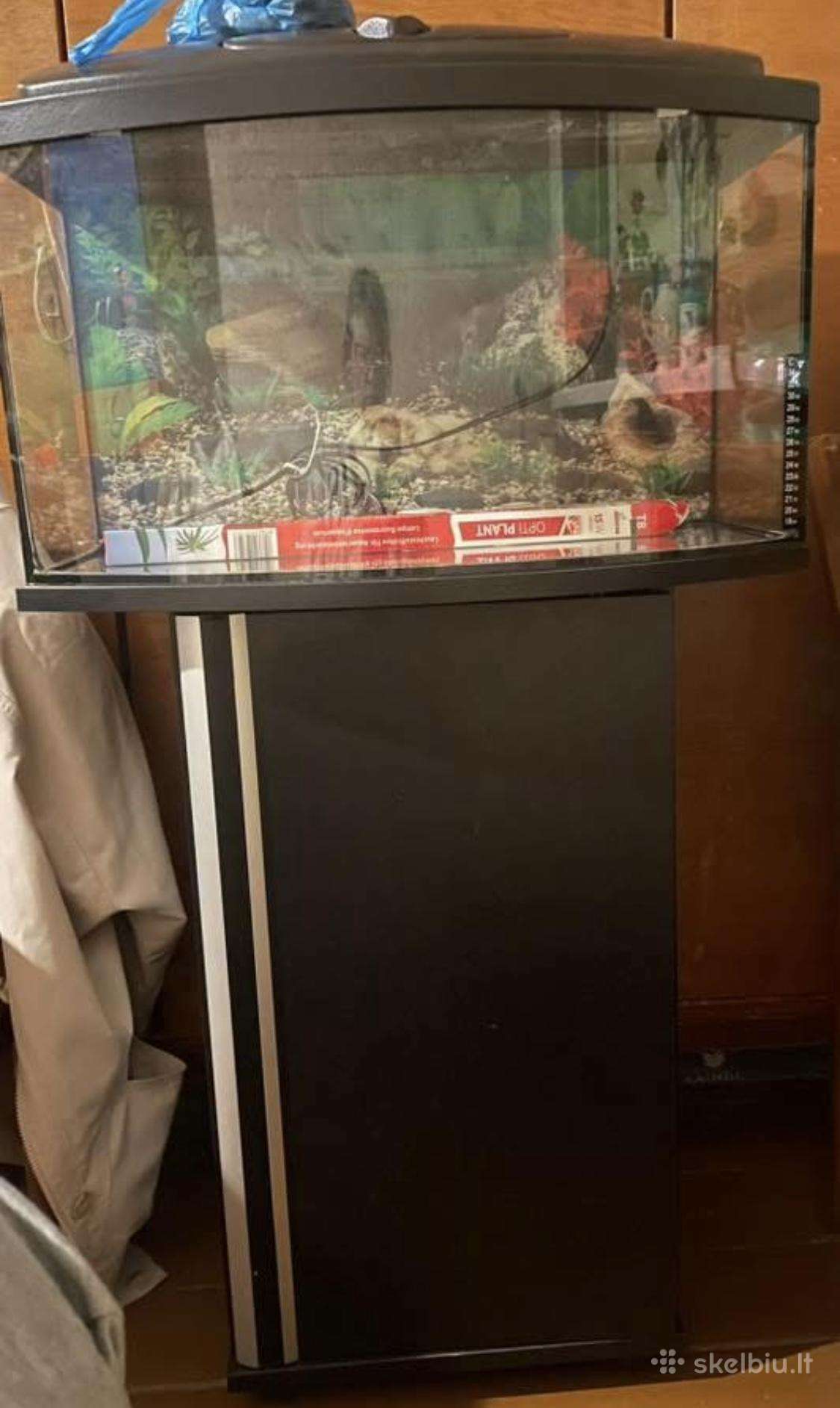 Akvariumas su spintele