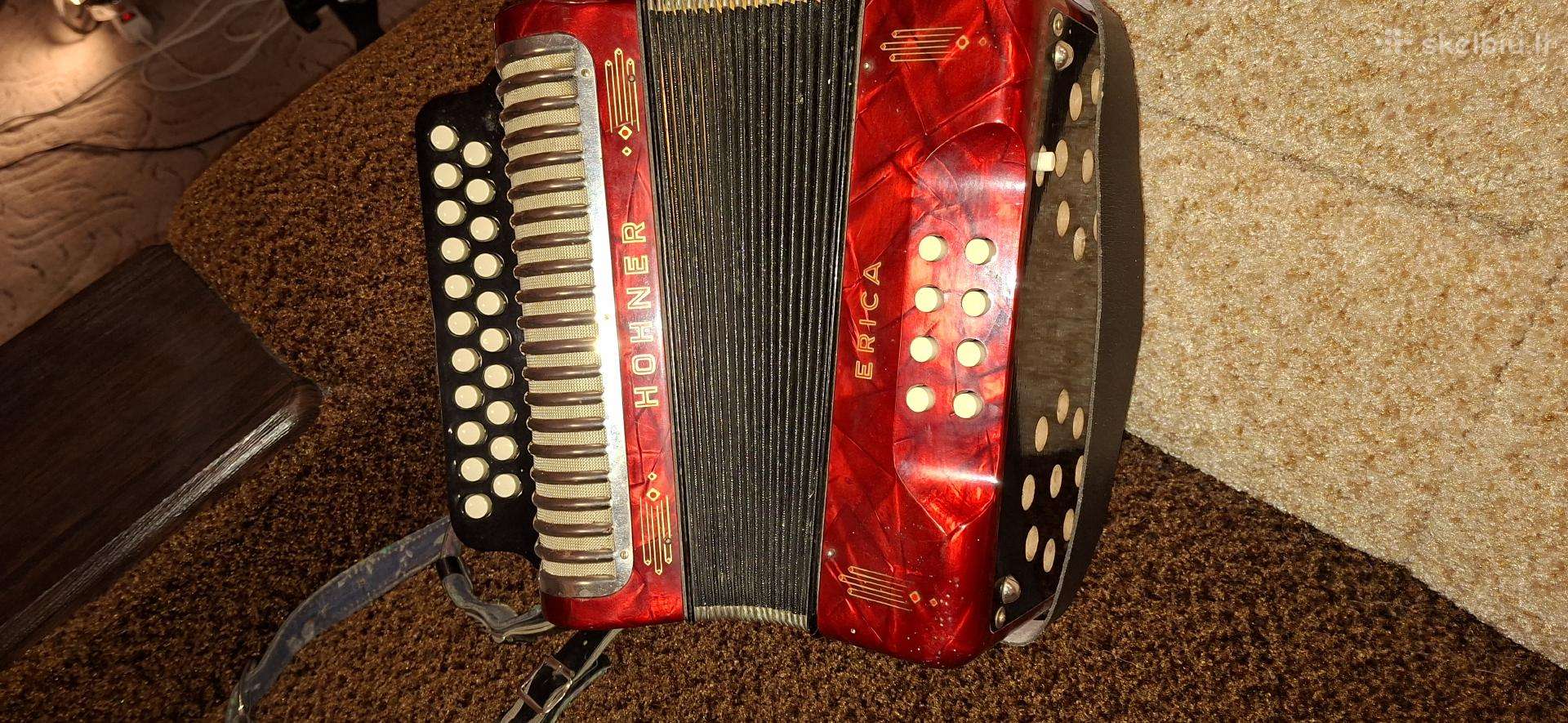 Armonika Hohner Erica