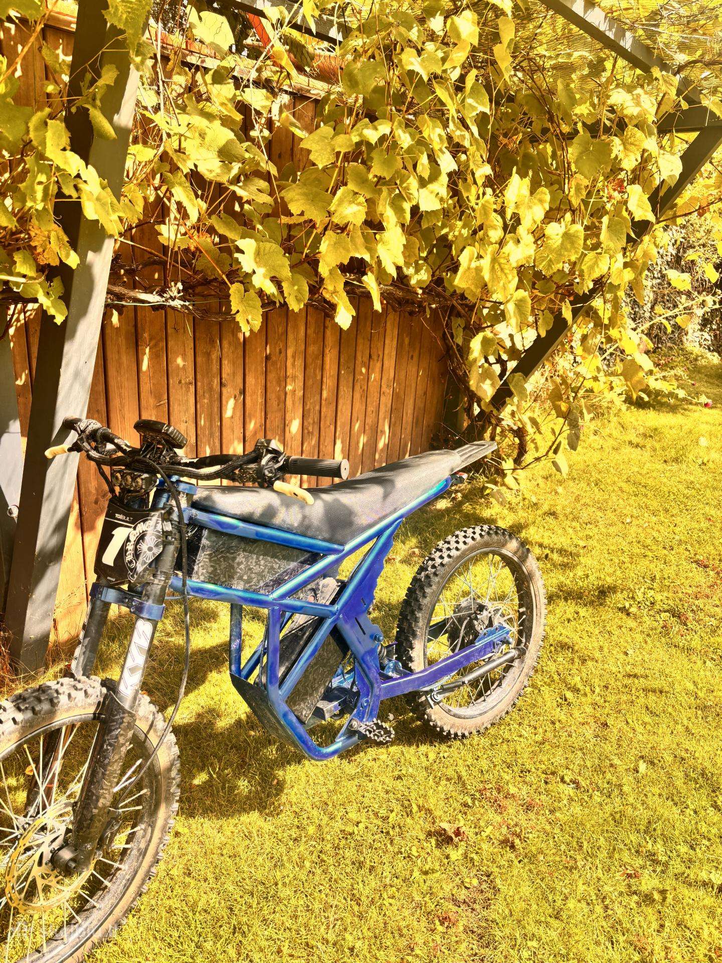Pardoudamas riding times gt73