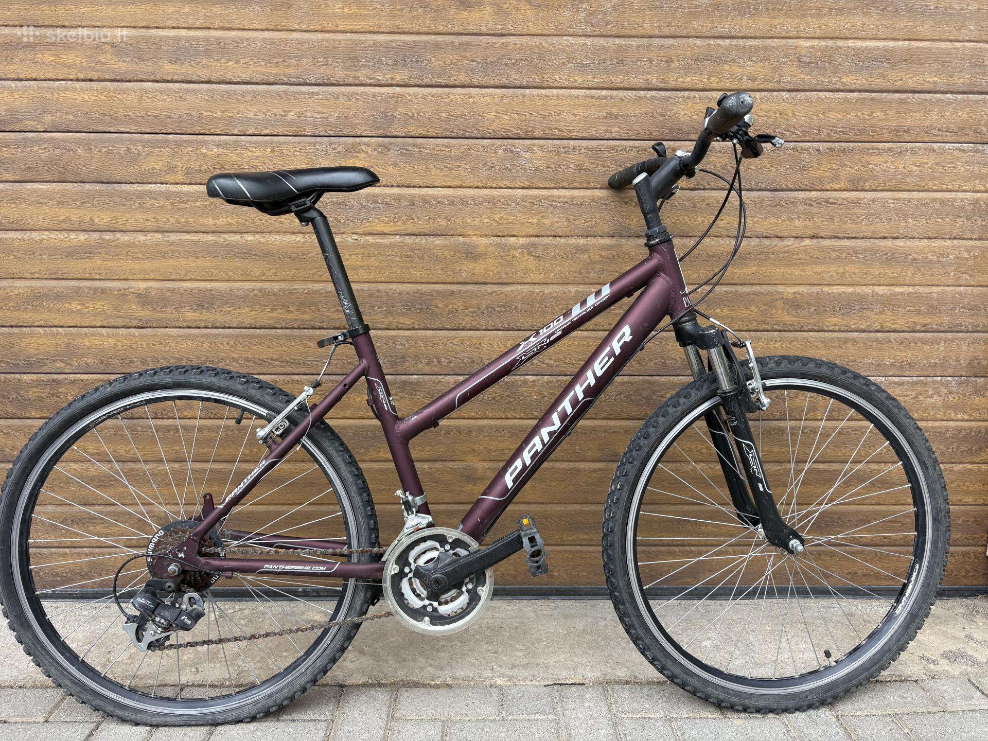 Dviratis Panther x100