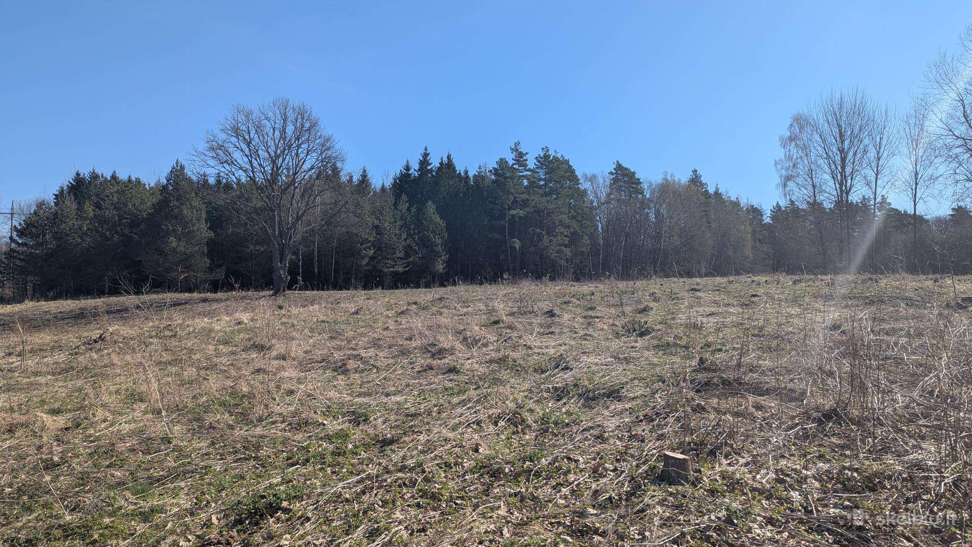 2.1 ha sklypas