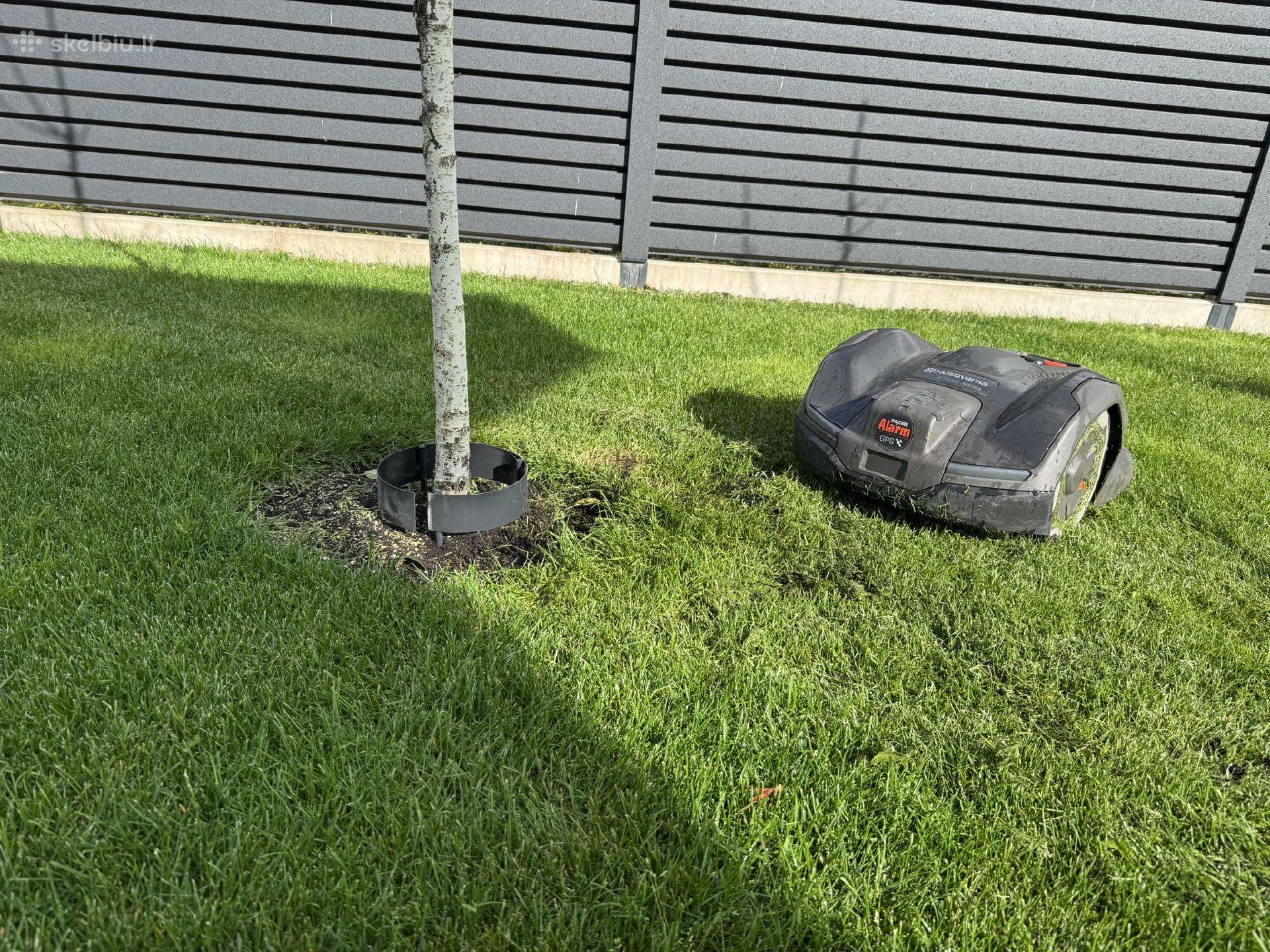 Medelių apsauga nuo vejos roboto