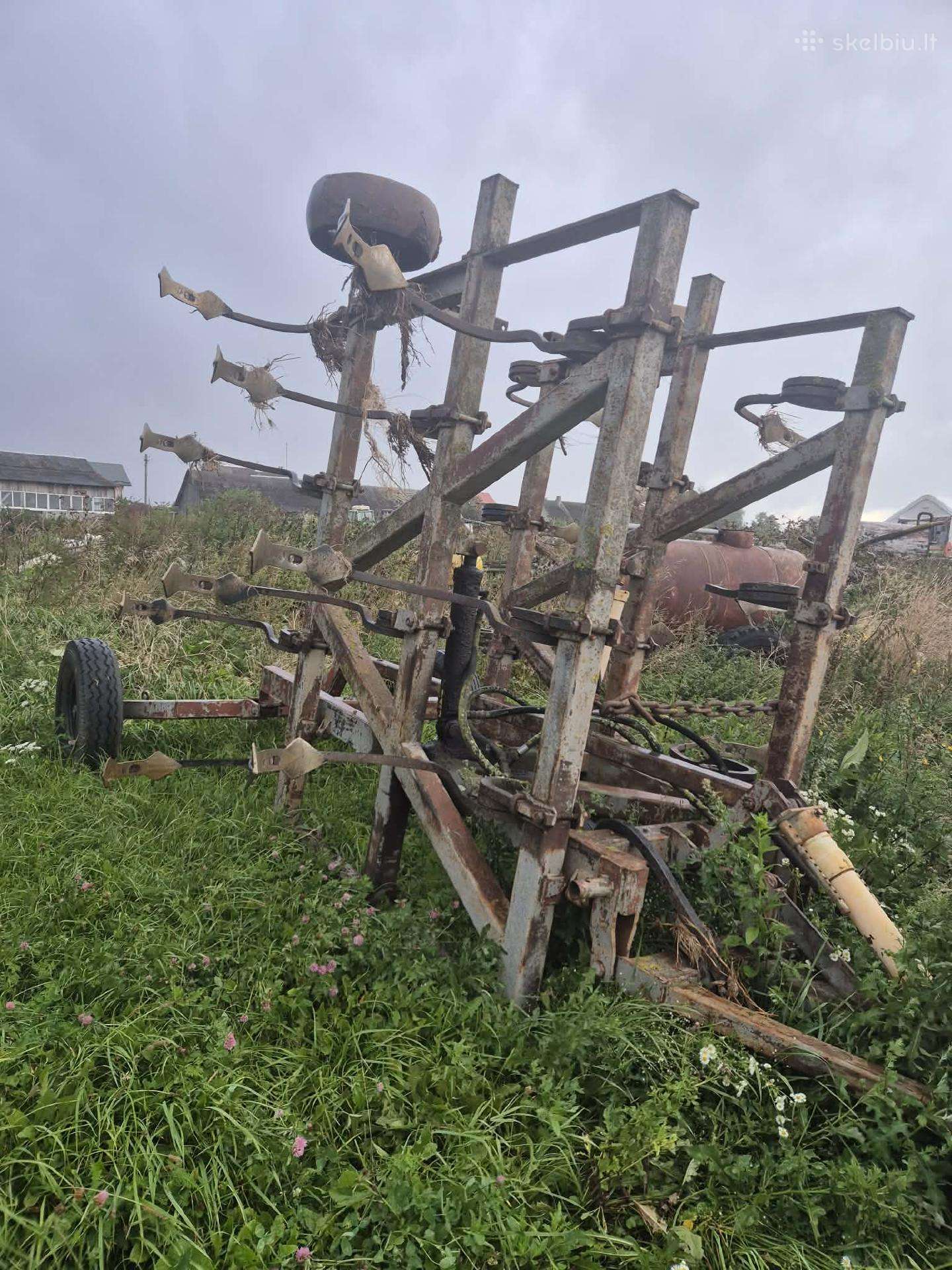 Noraginis skutikas