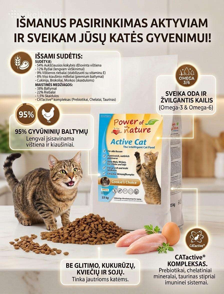 Begrūdis maistas katėms
