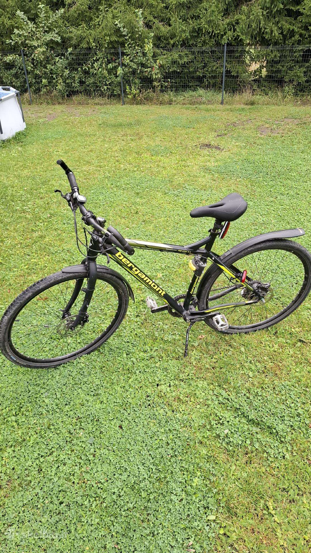 Bergamont revox 5.3