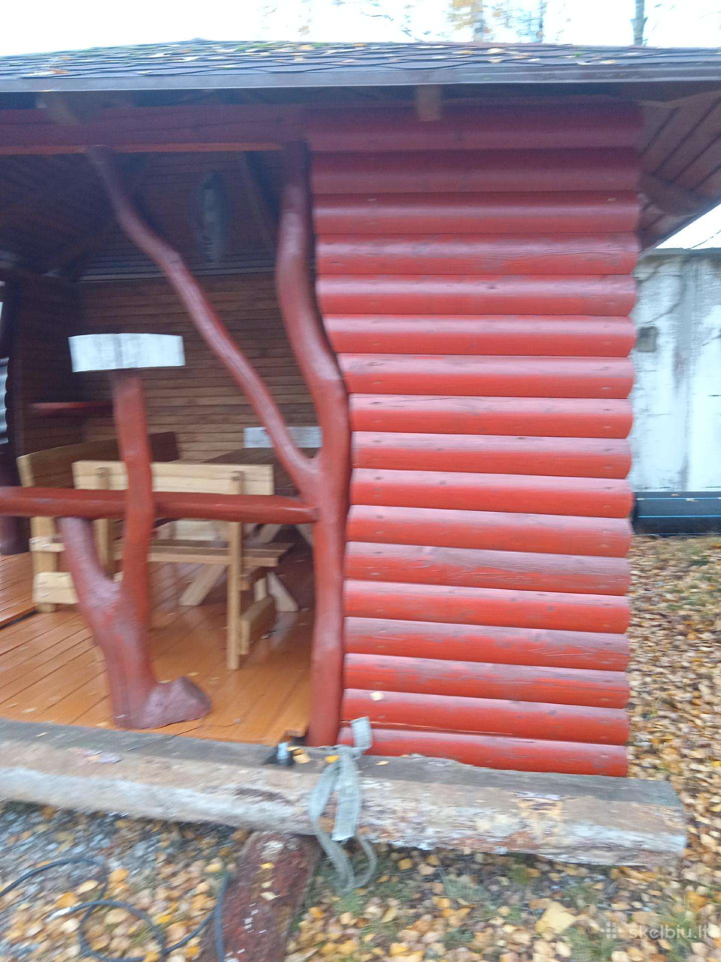 Pavesinė