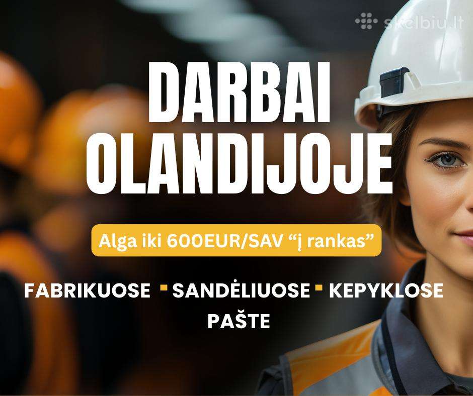 Darbas Olandijoje pakuotojams