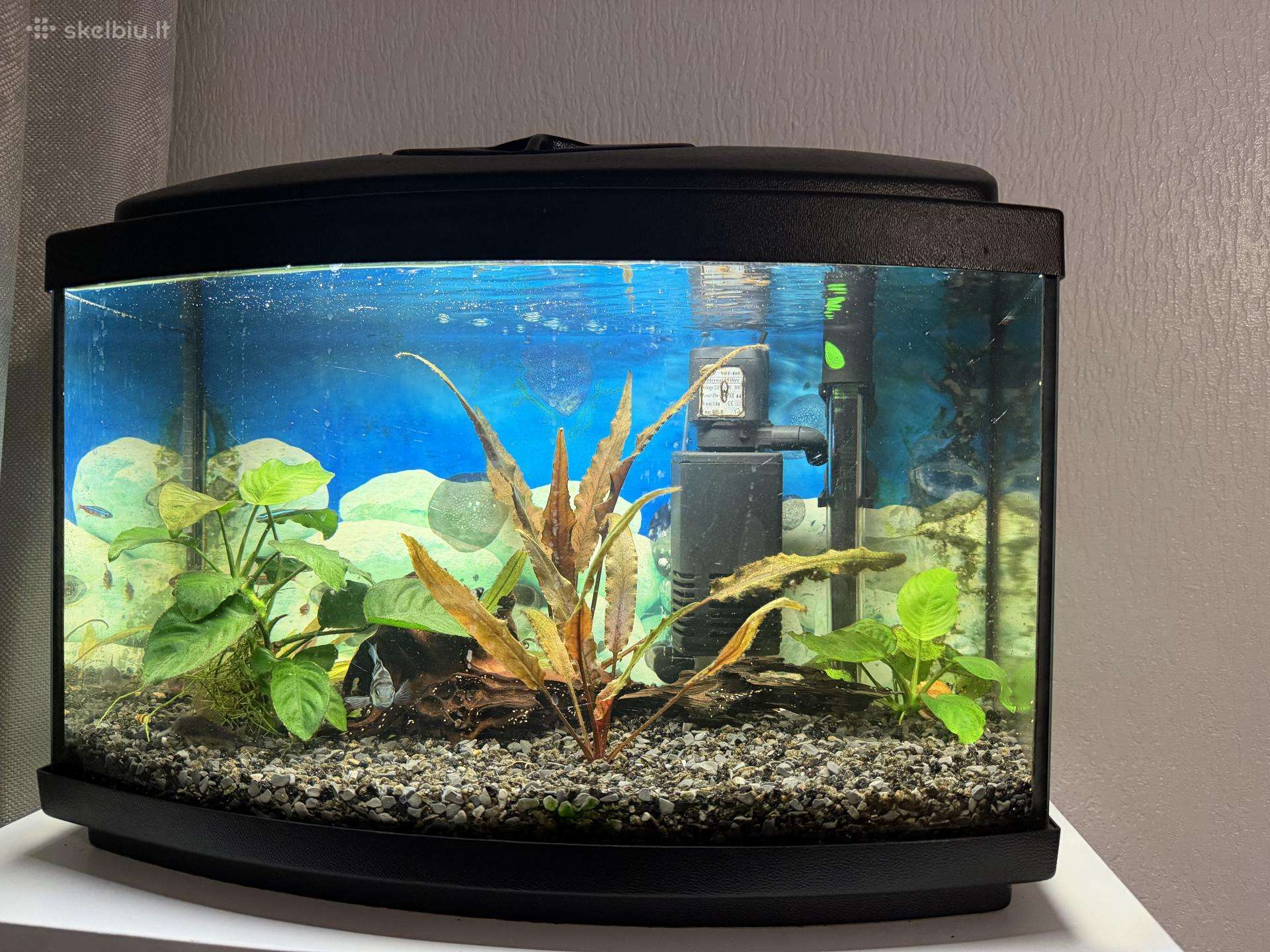 Parduodu 40 l akvariuma