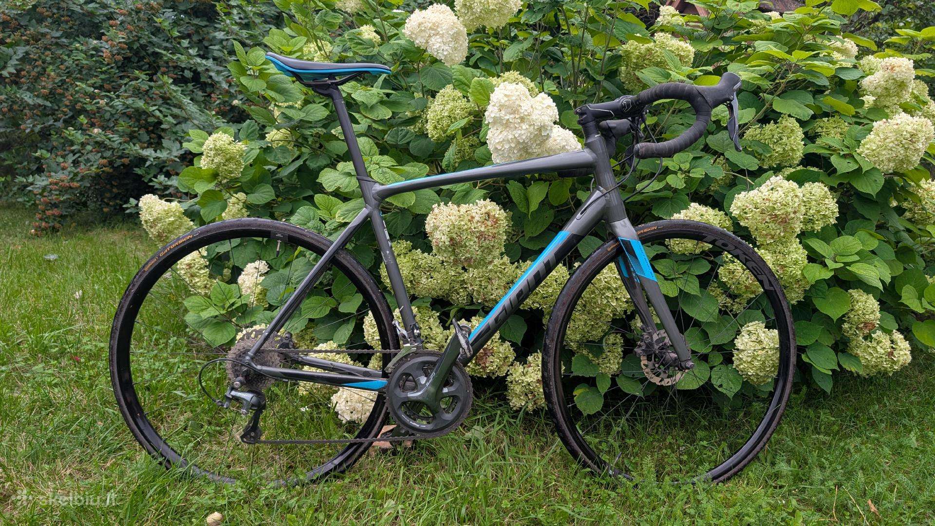 Giant Contend 2 SL disc 2019