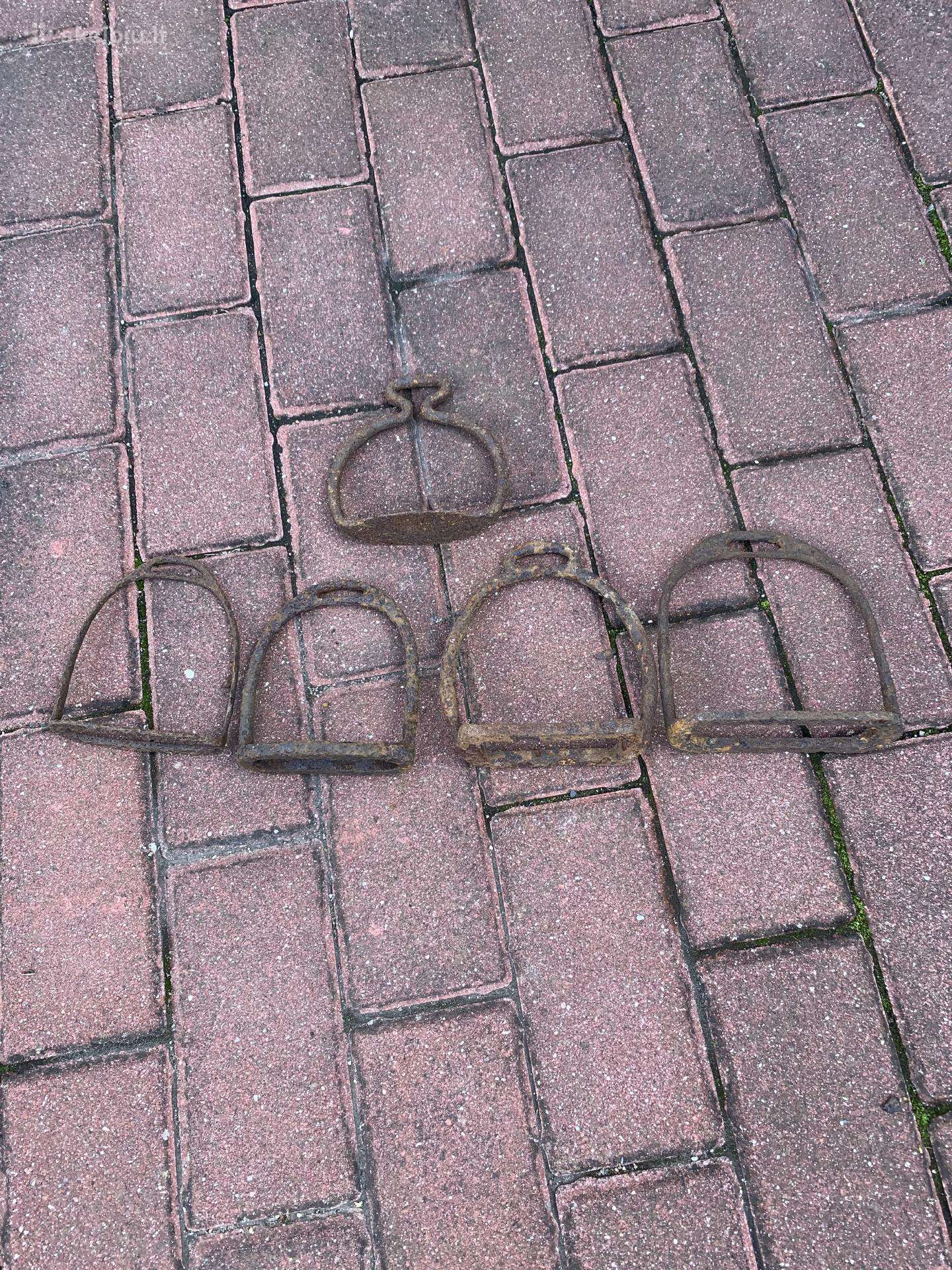 Vokiškos balnakilpės