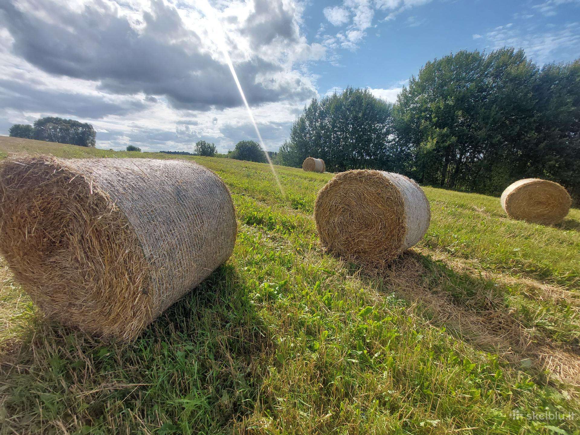 Parduodami šiaudų rulonai