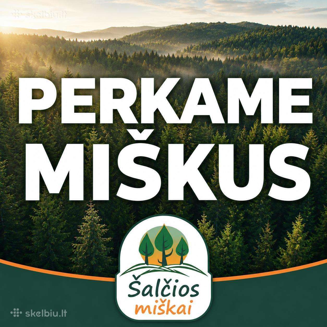 Brangiai Perkame Įvairius Miškus