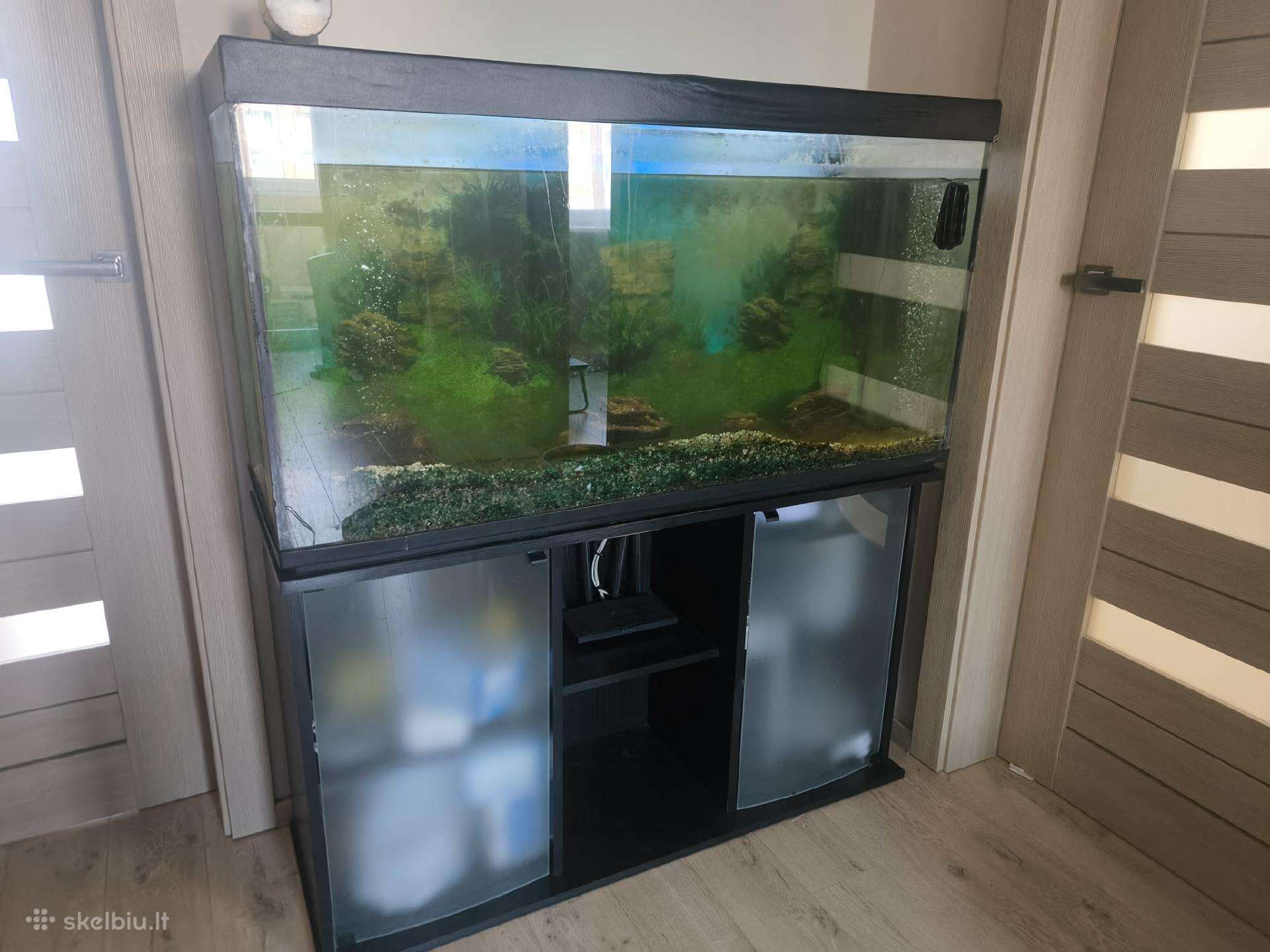 Akvariumas 300l