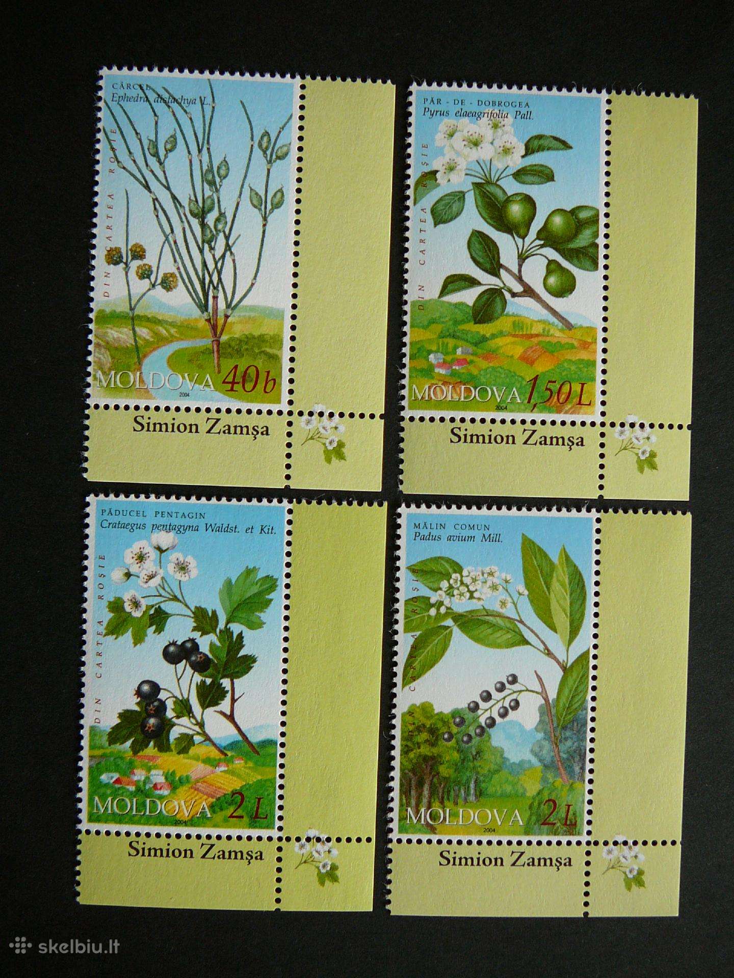 Geles Augalai Moldavija 2004 Mnh md46