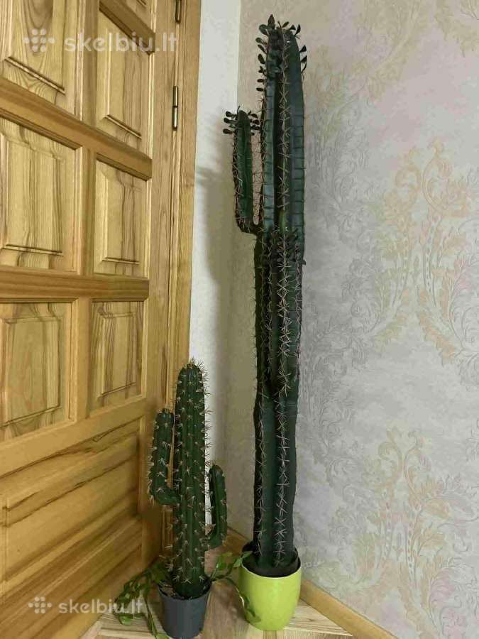 Kaktusas dirbtinis