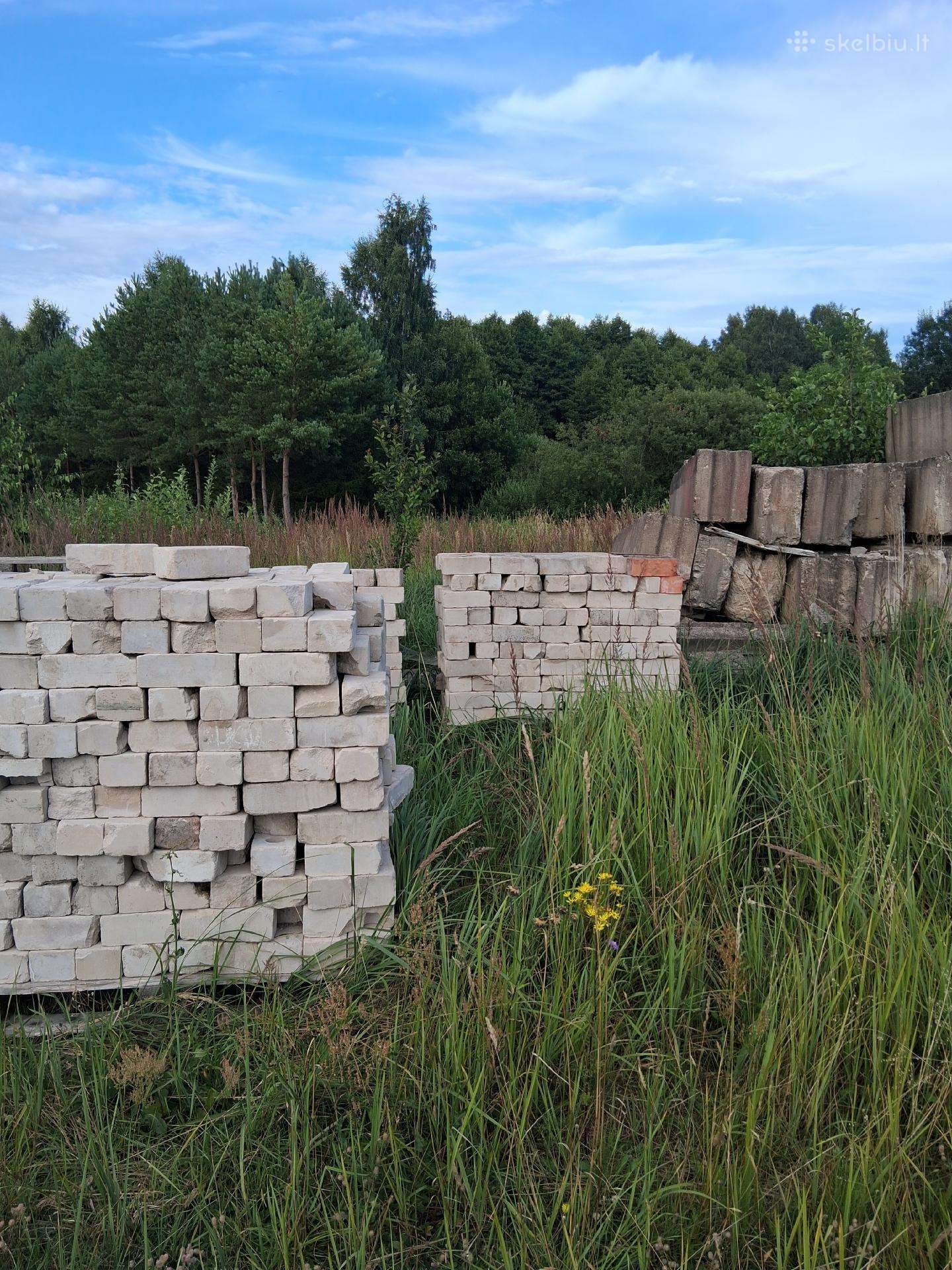 Dovanoju plytas ir blokus