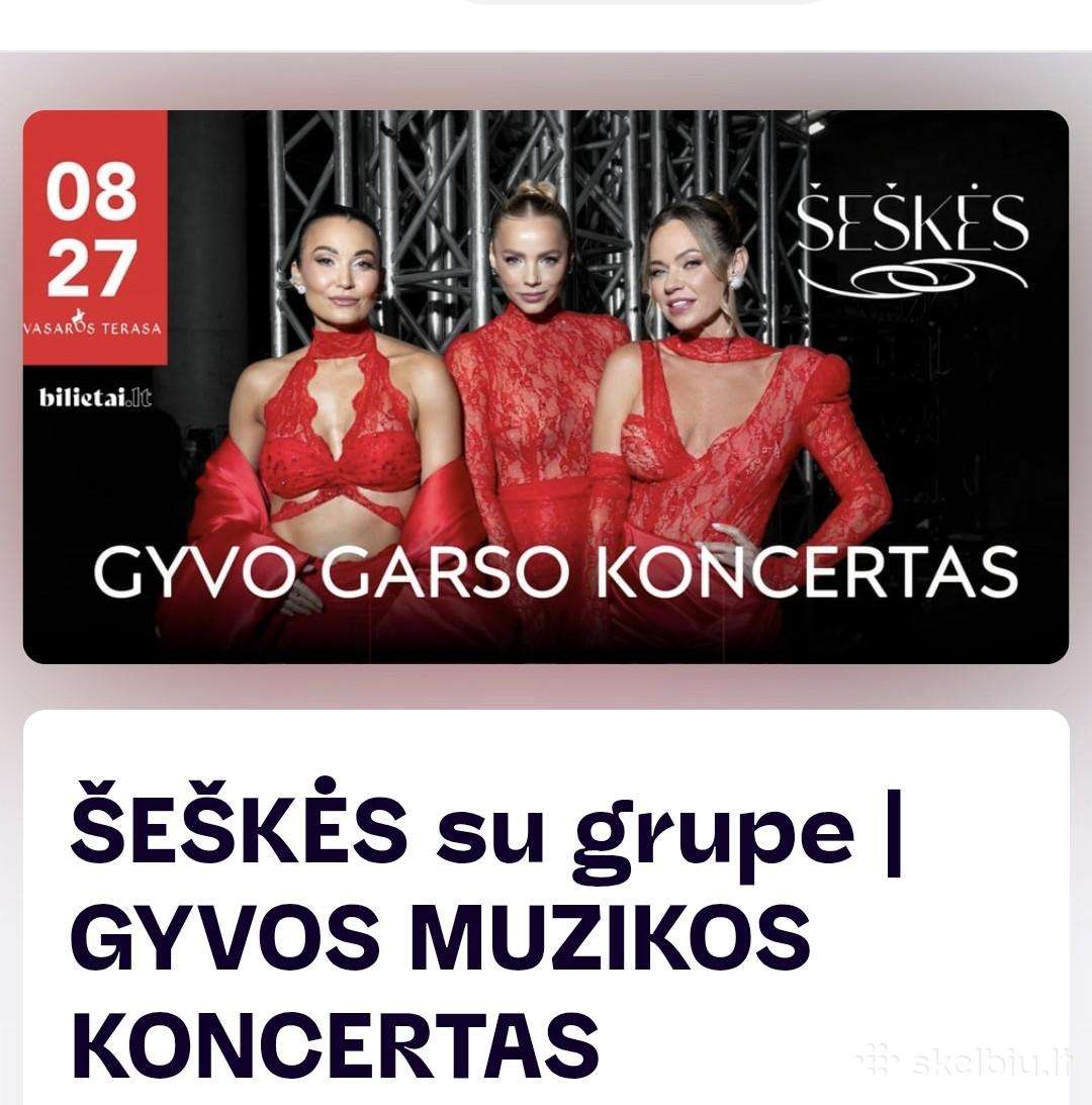 2 bilietai į "Šeškių" koncertą 08.27.