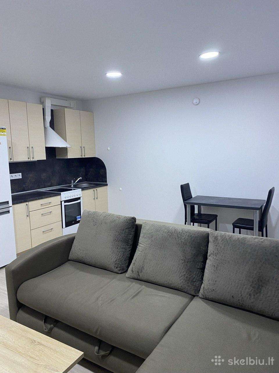 Išnuomojamas Tvarkingas 1 Kambario Butas / Studio