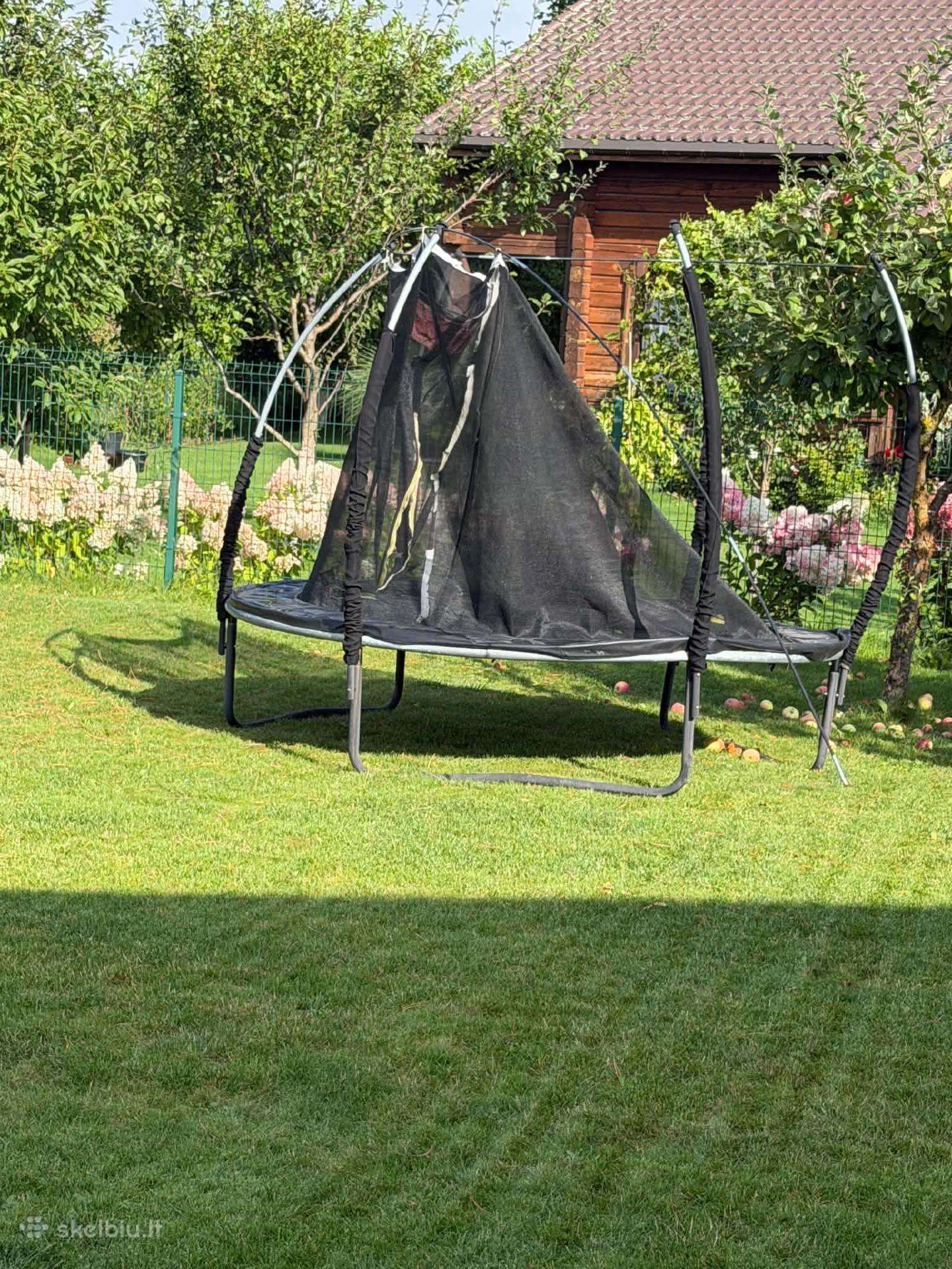 Dovanoju batuta