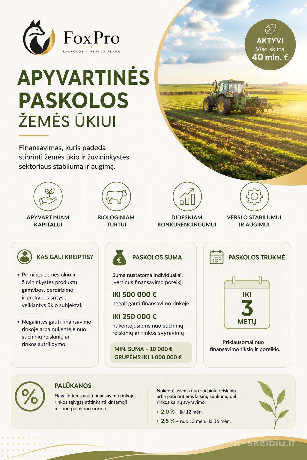 Verslo planaipaskolosinvesticiniai projektai