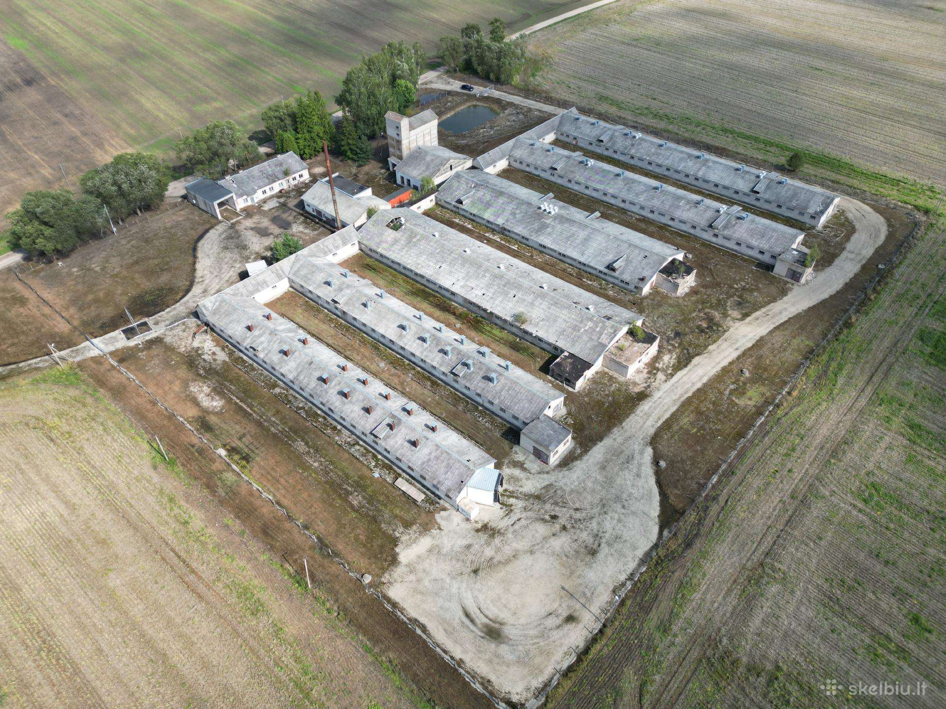 Komercinių patalpų nuoma