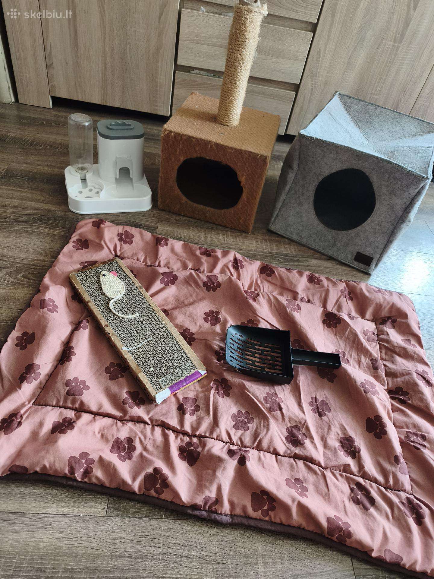 Katėms reikmenys