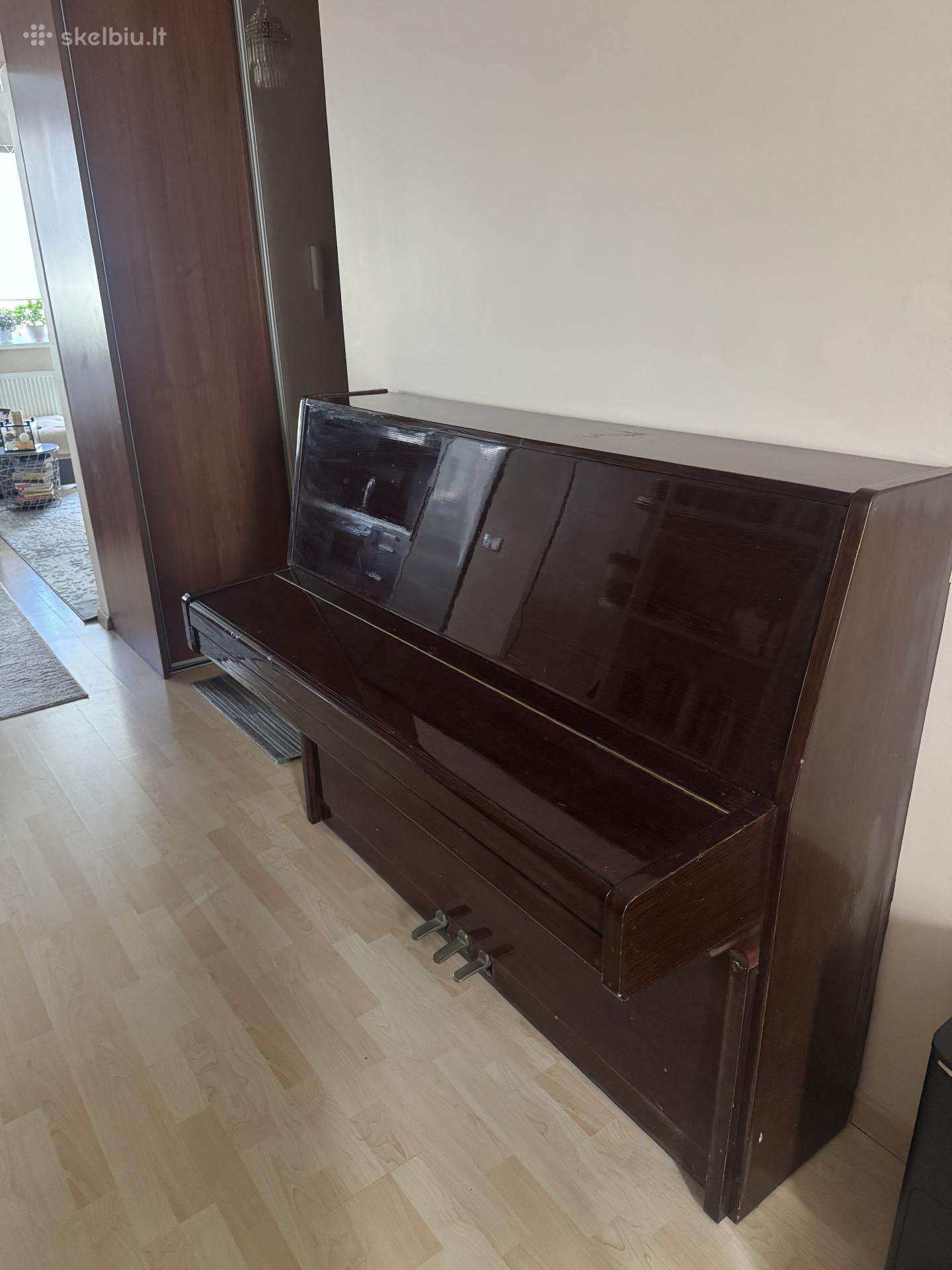 Dovanoju pianiną Riga