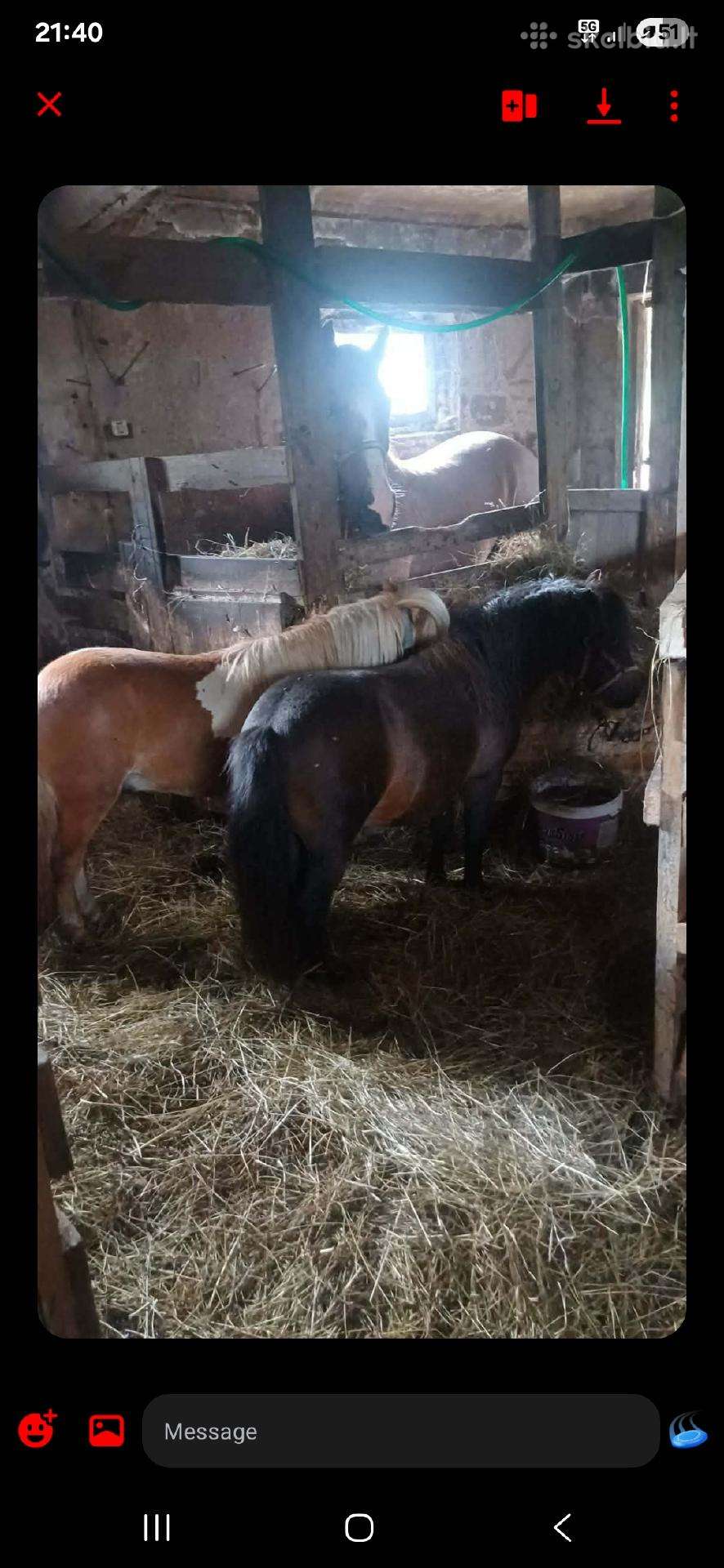 Parduodu du poni erziliukus