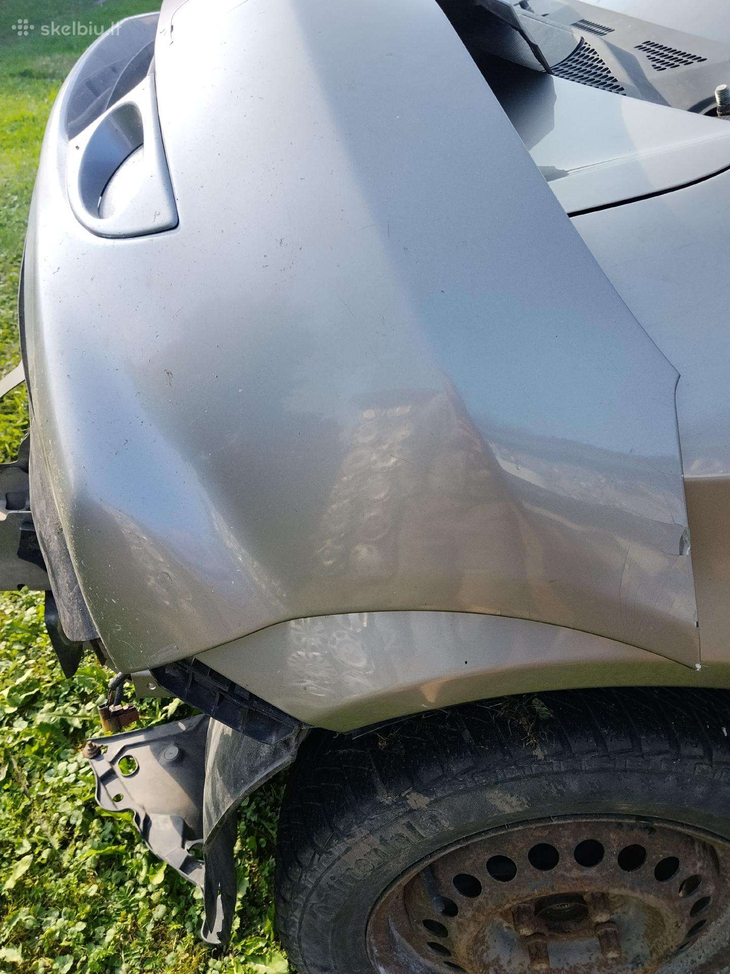 Visos dalys atskirai dėl pasireiravimo skambintis