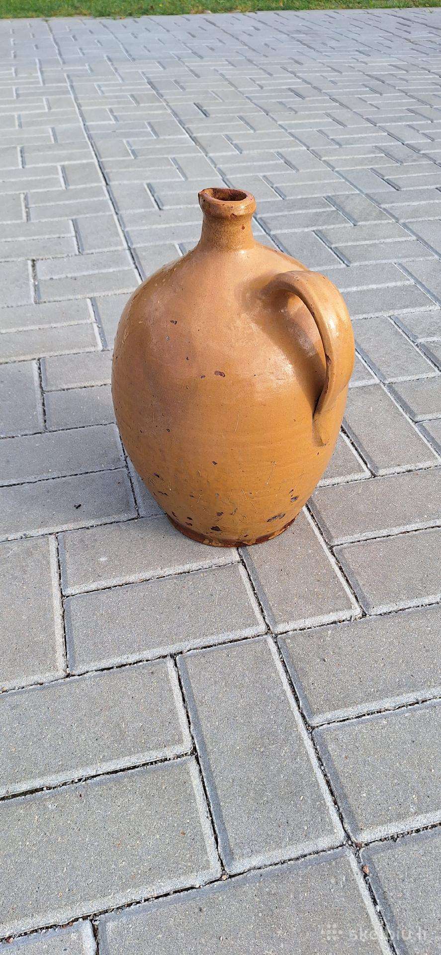 Senovinis molinis asotis