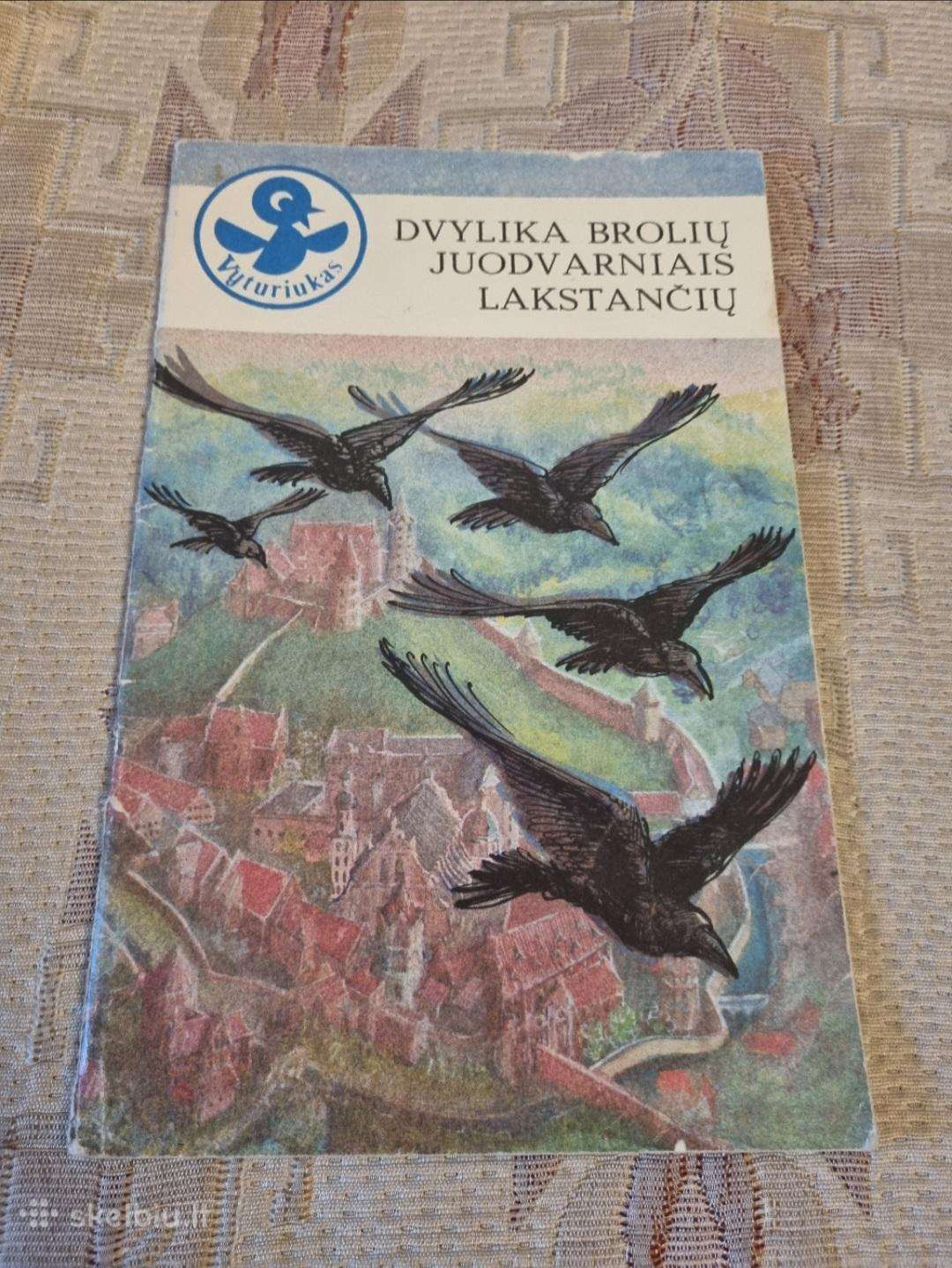 Dvylika brolių juodvarniais lakstančių