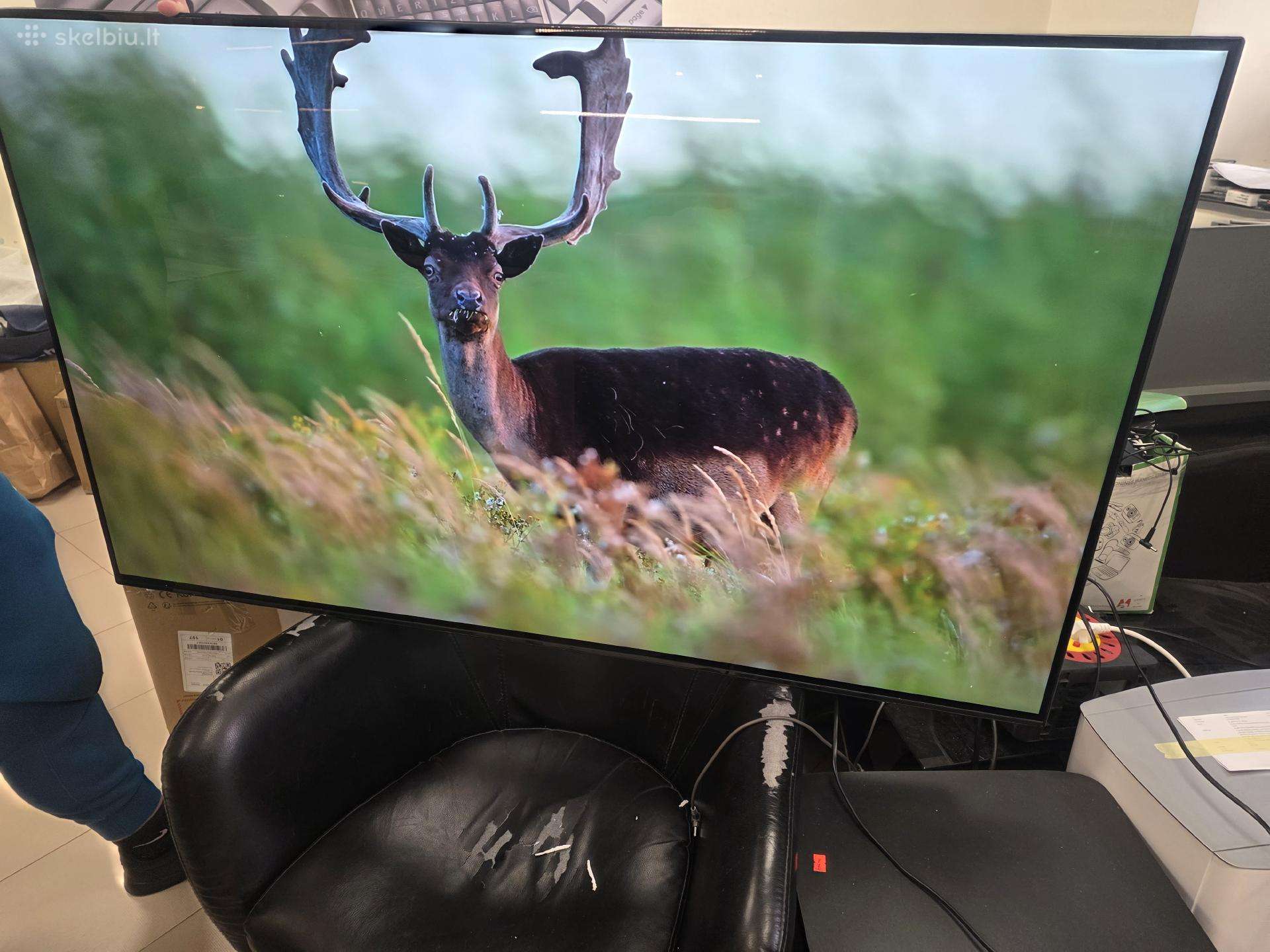 Naudotas Sony Oled 55 televizorius