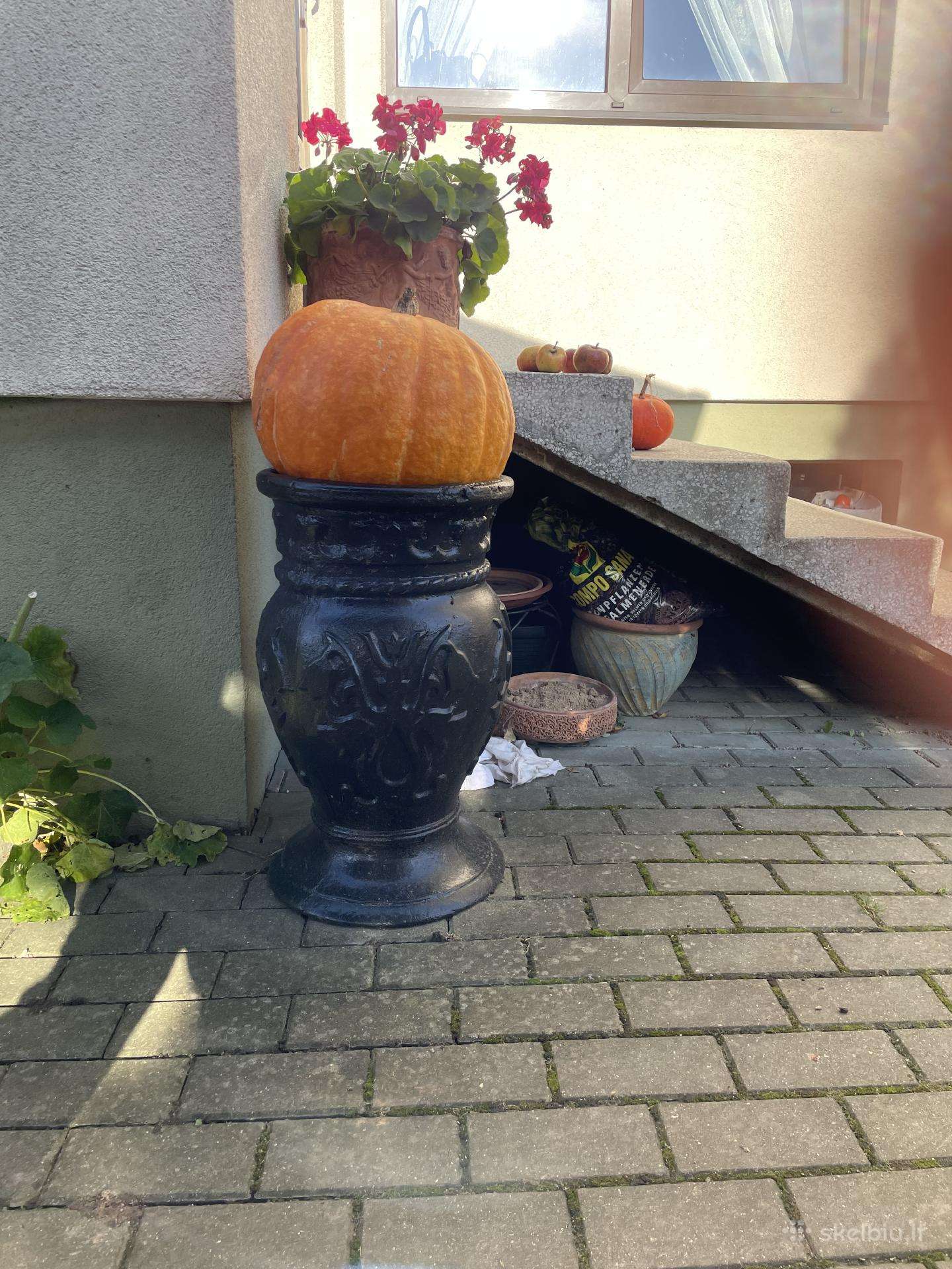 Siuksliadeze