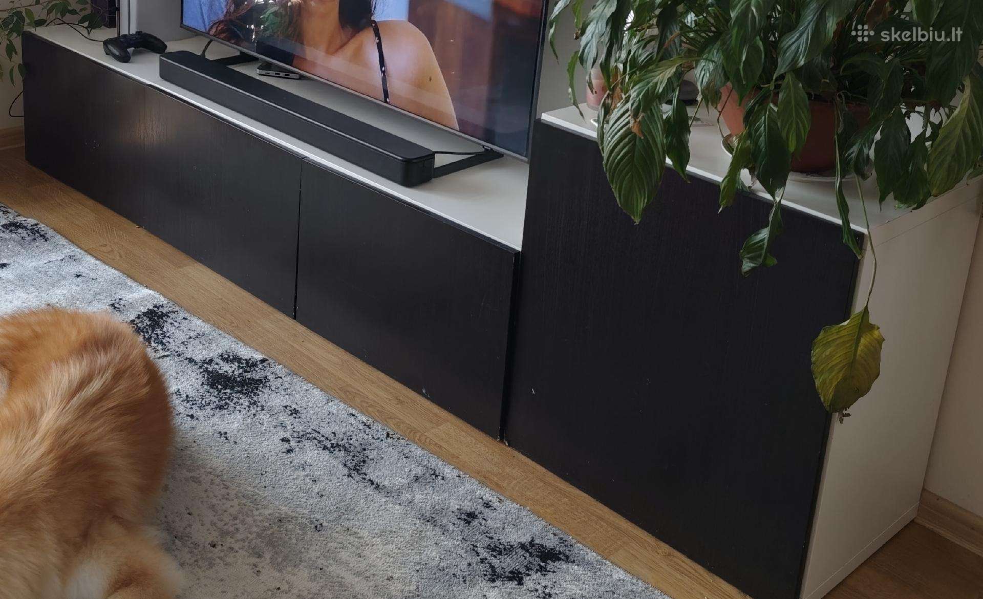 Dovanoju TV spintelę