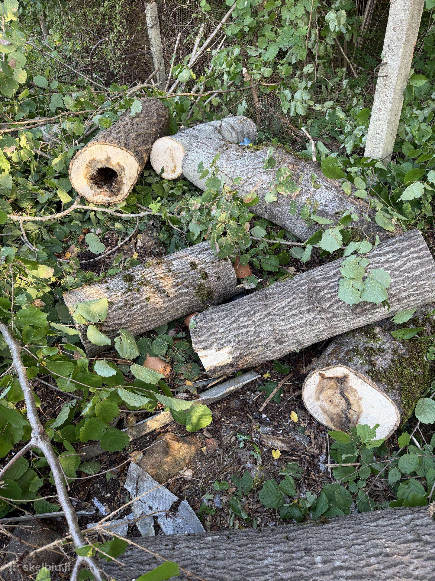 Dovanojame malkas/ medžių kamienus