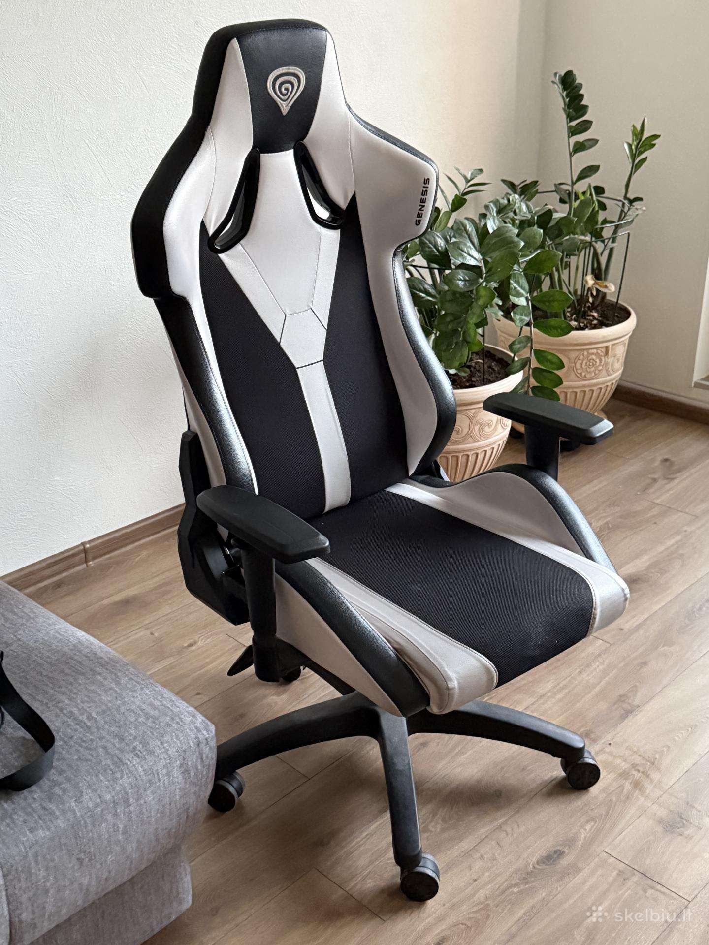 Kedė Genesis Nitro 650 Howlite White