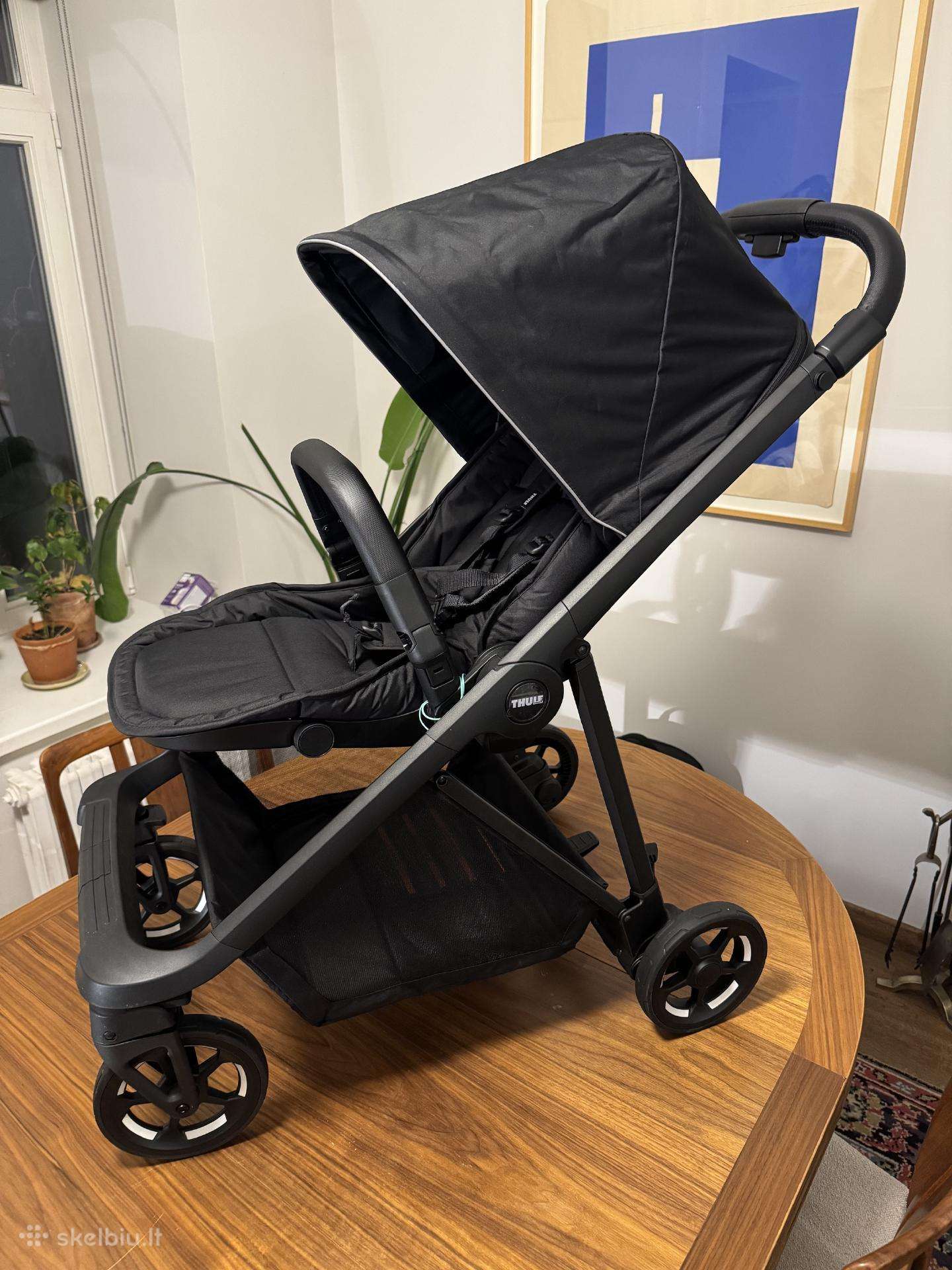 Thule shine