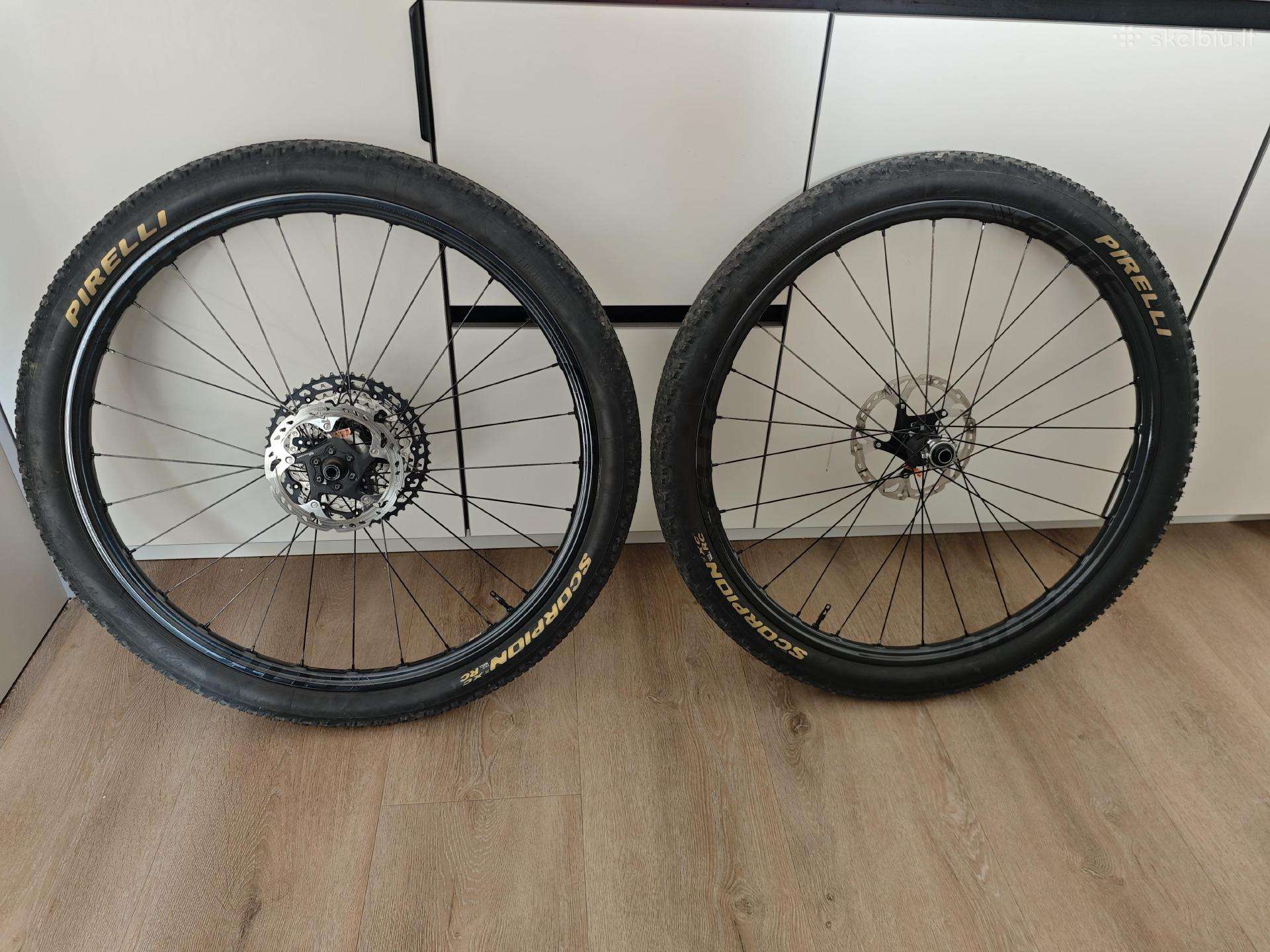 Elite Gnar Trail 30 Carbon ratai
