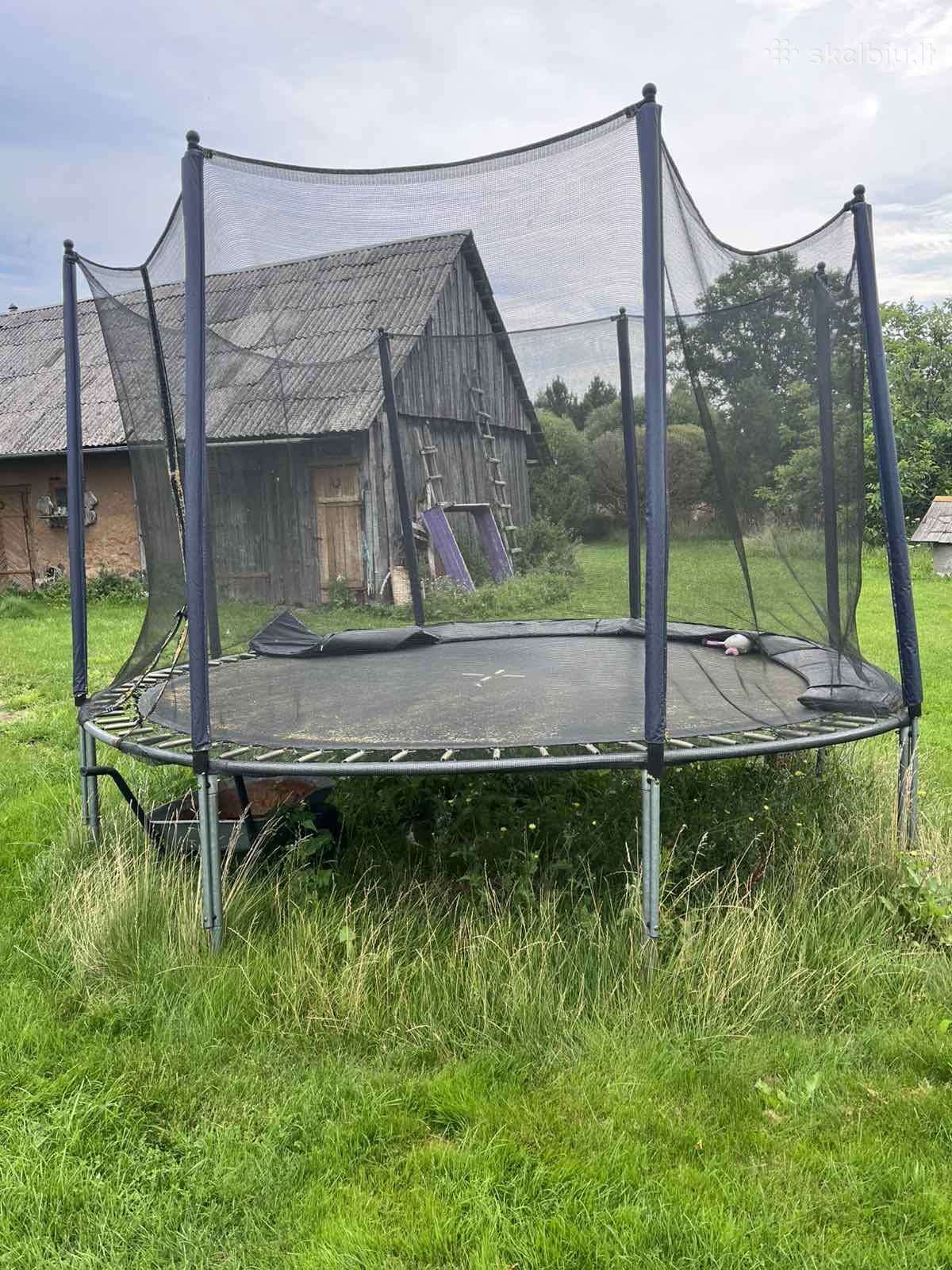 Batutas