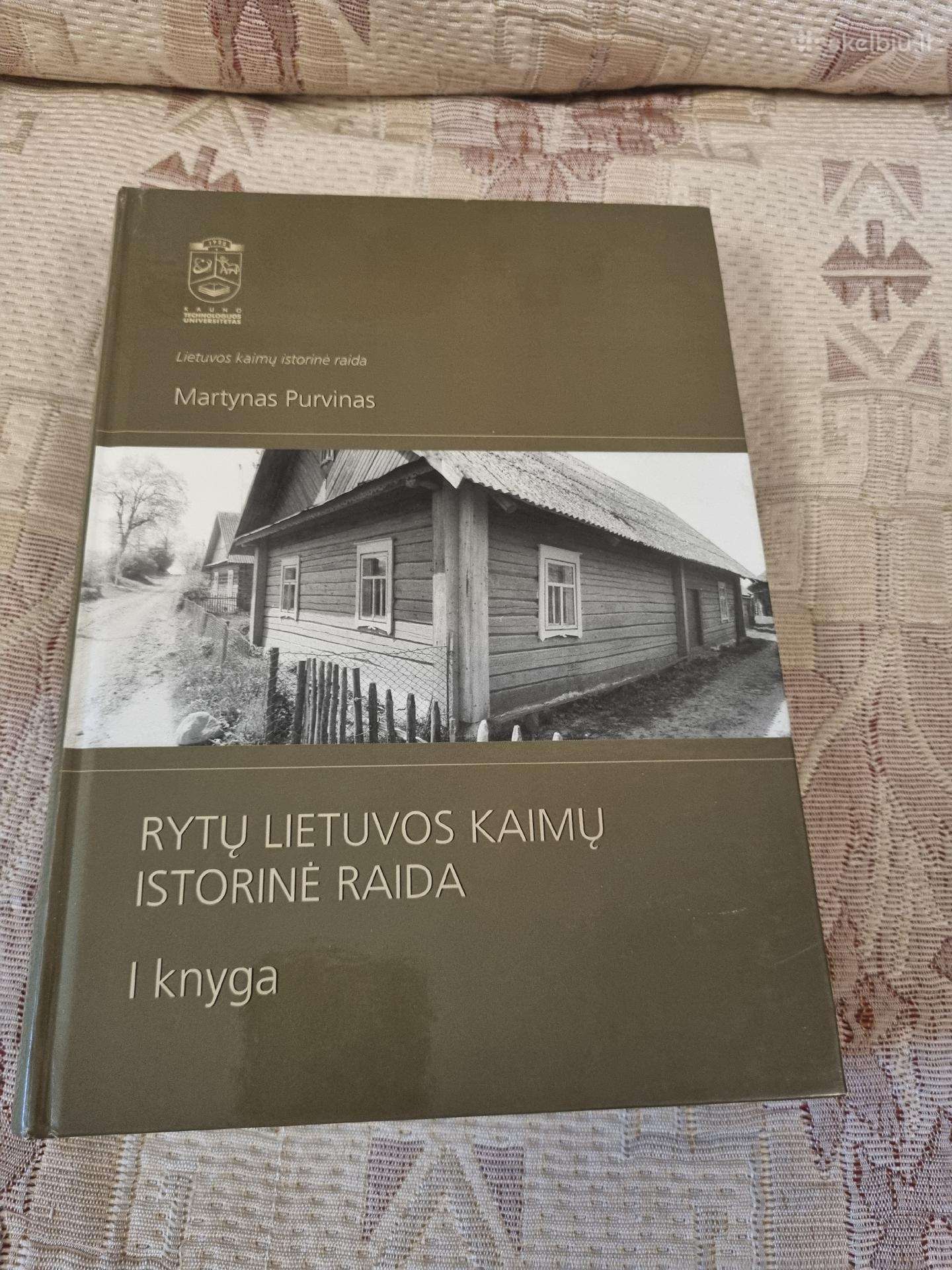 Rytų Lietuvos kaimų istorinė raida