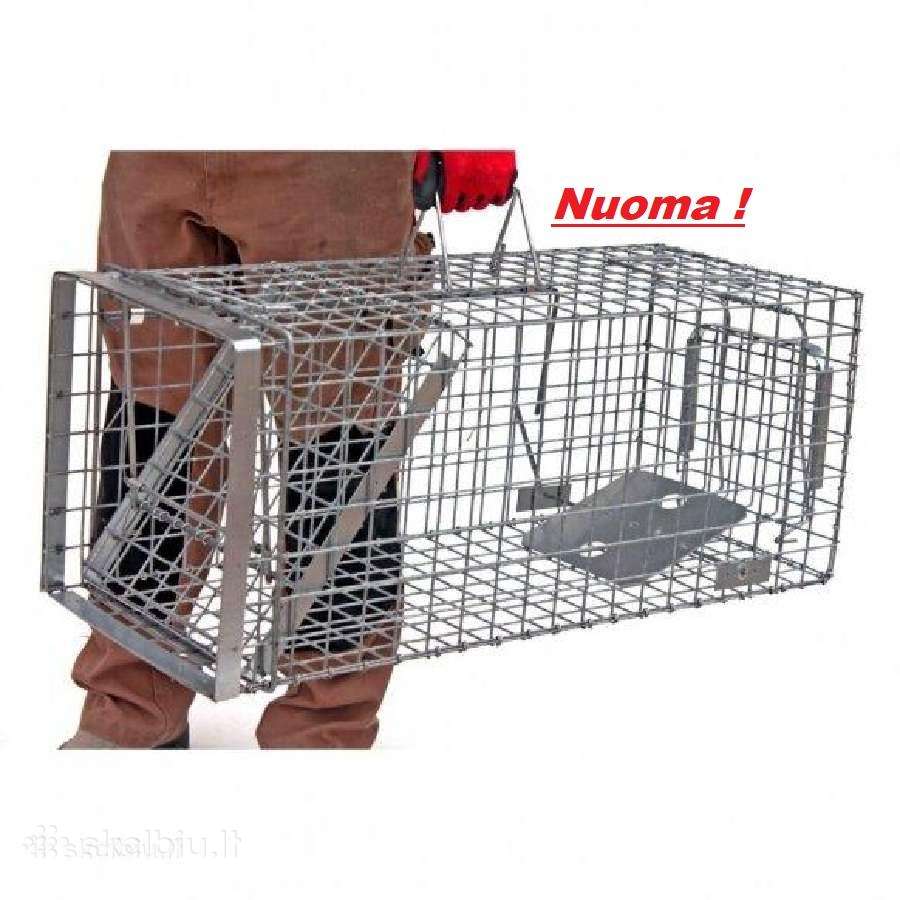 Spąstai katėms gyvagaudžiai laukiniams gyvūnams