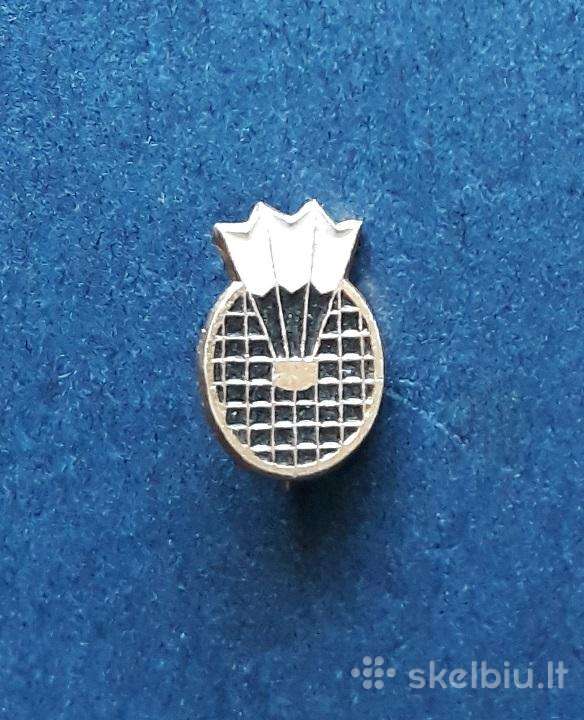 Sportas Badmintonas 01