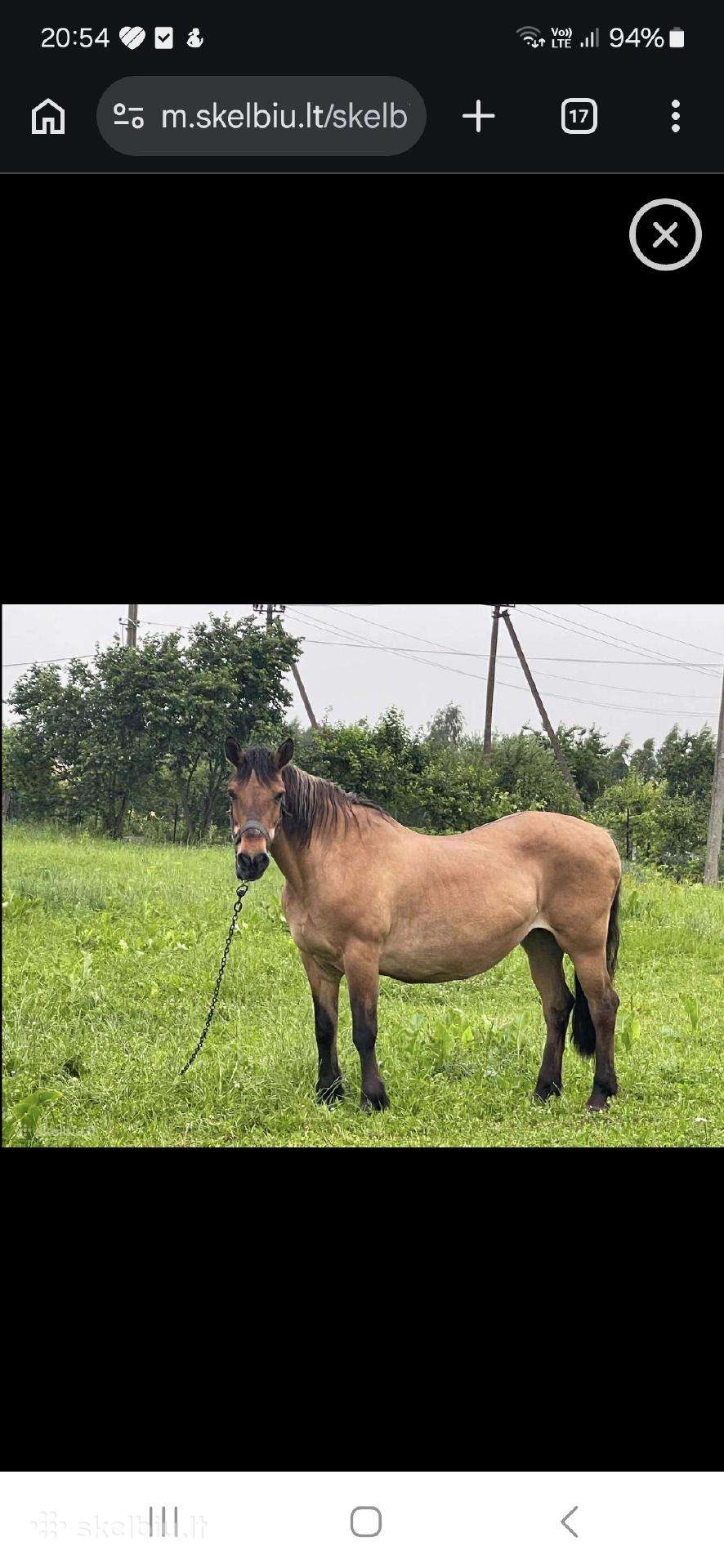 Parduodu kumelia