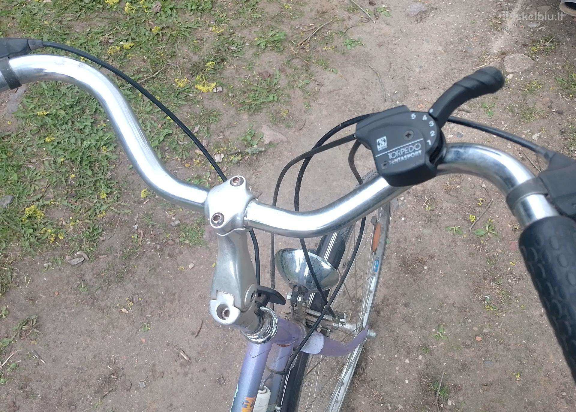 5 vidinės pavaros