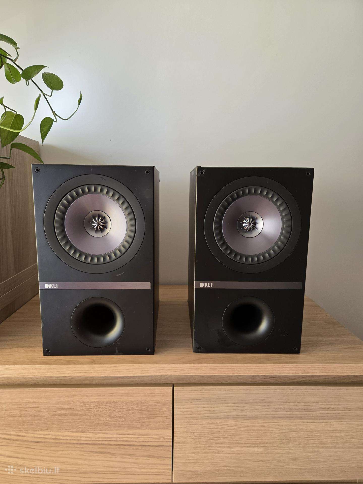 Kef Q300