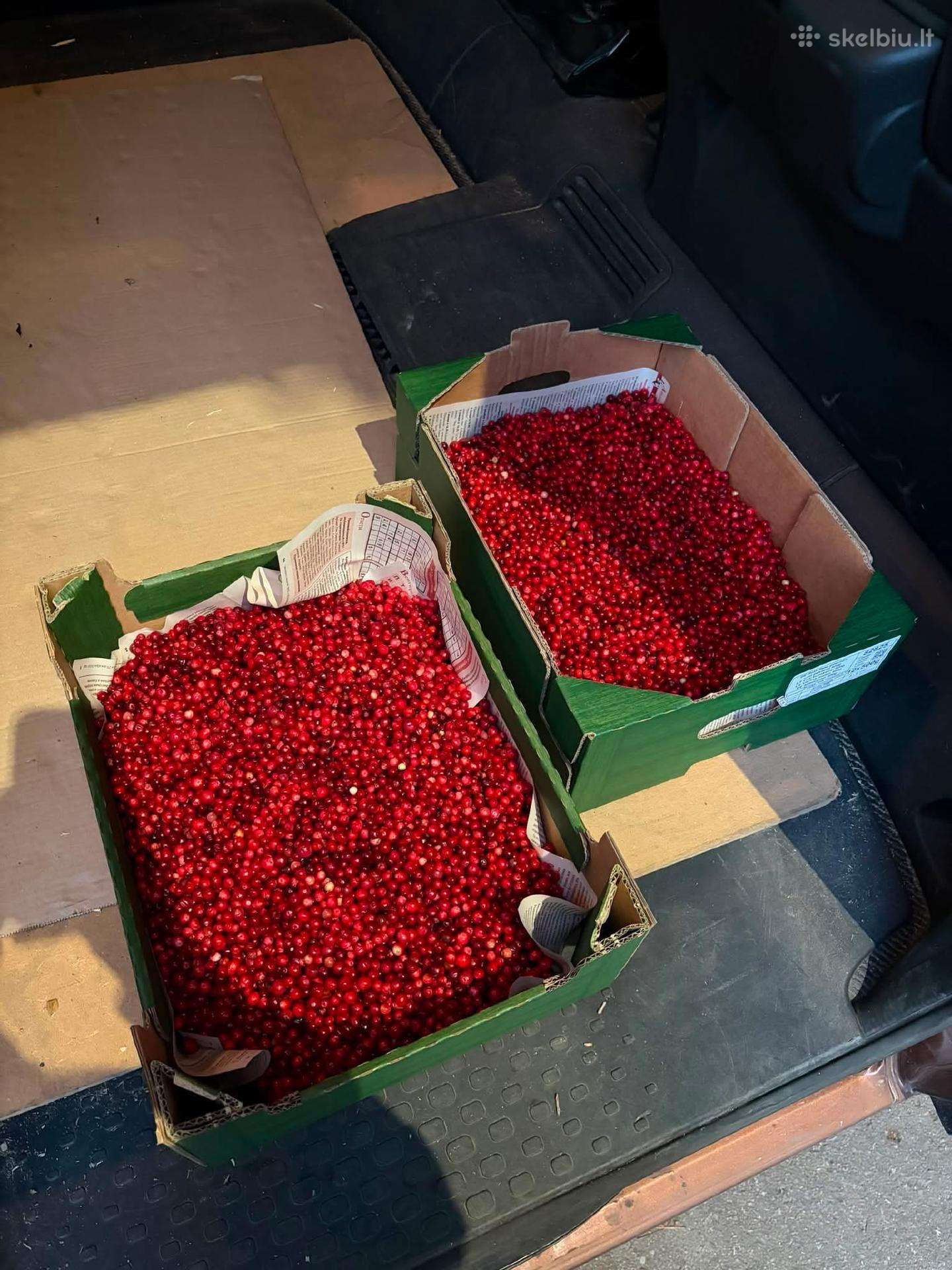 Bruknės 5€ 1l