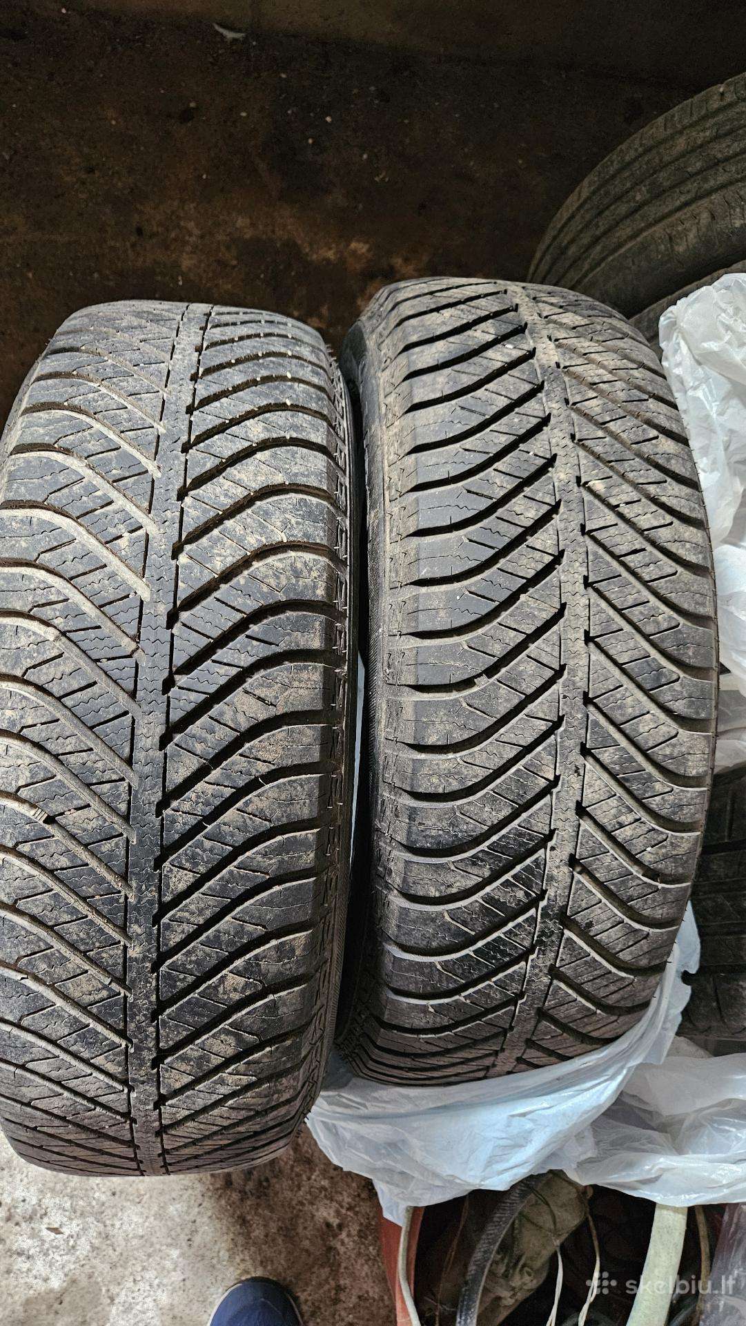 R17 padangos